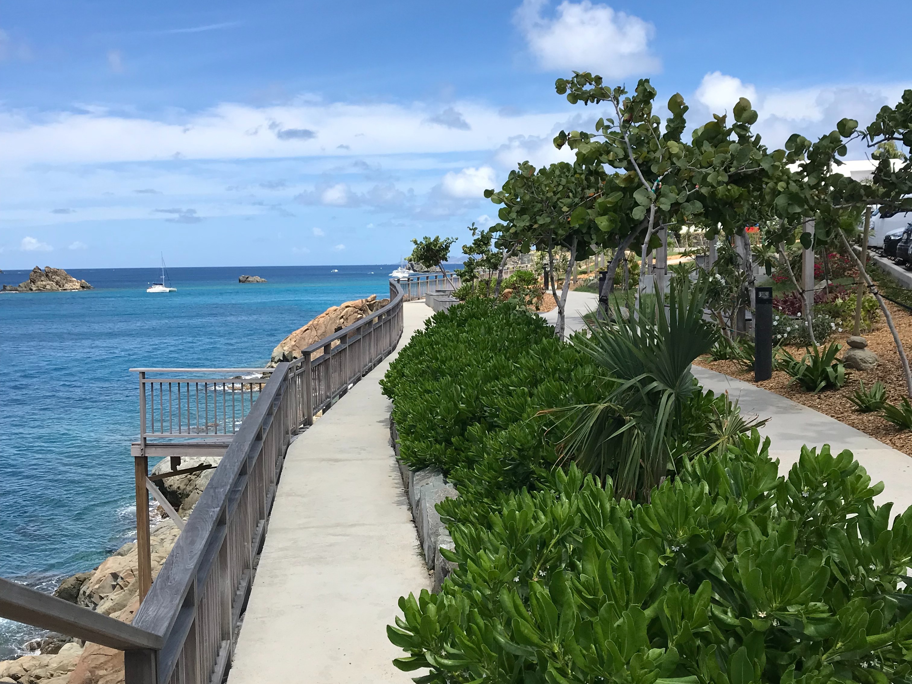 Walking path next to a body of water during the daytime