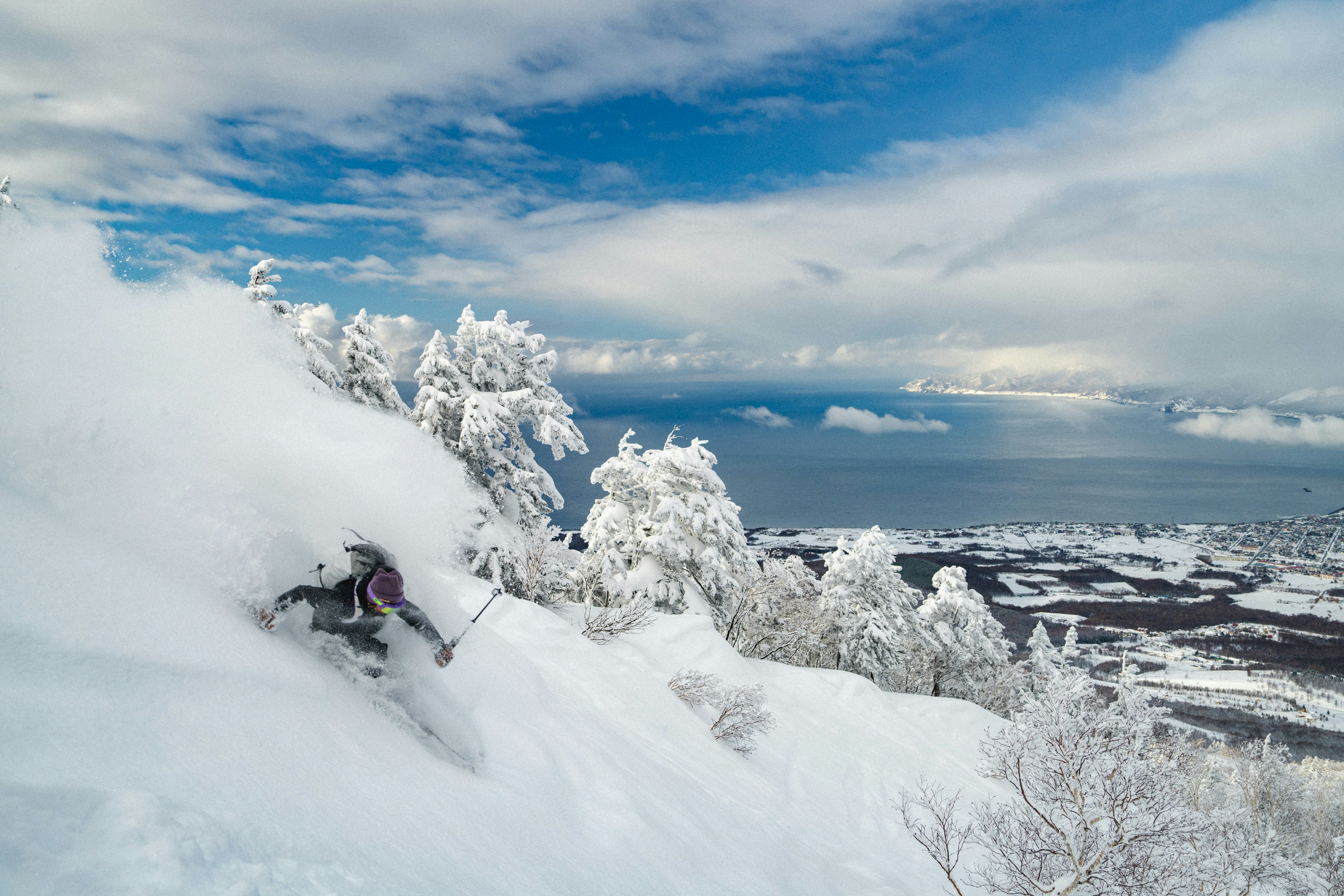 A person skiing with a blanket of snow falling onto them while there is a beautiful view in the distance as well as snow covered trees.