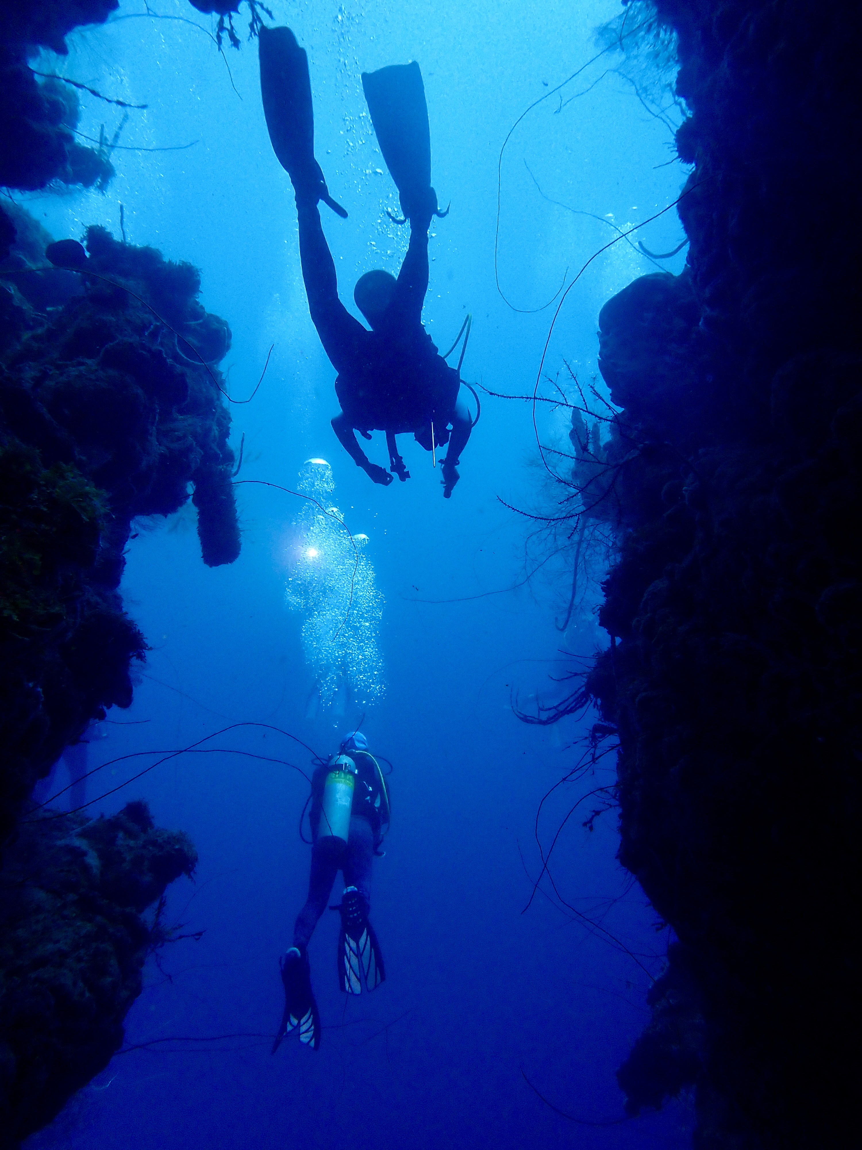 Picture of deep sea diving
