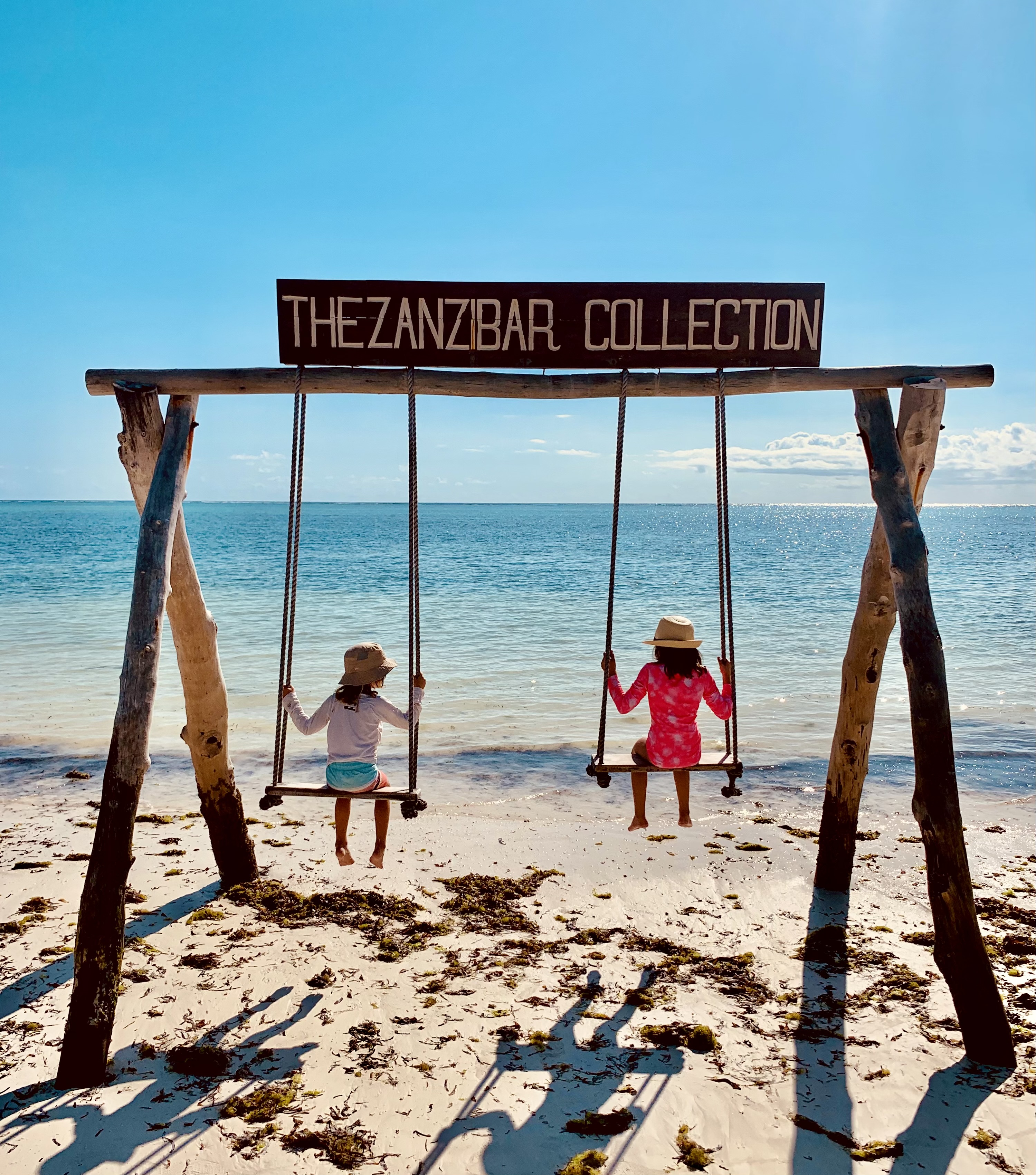 Children on a swing at the beach.