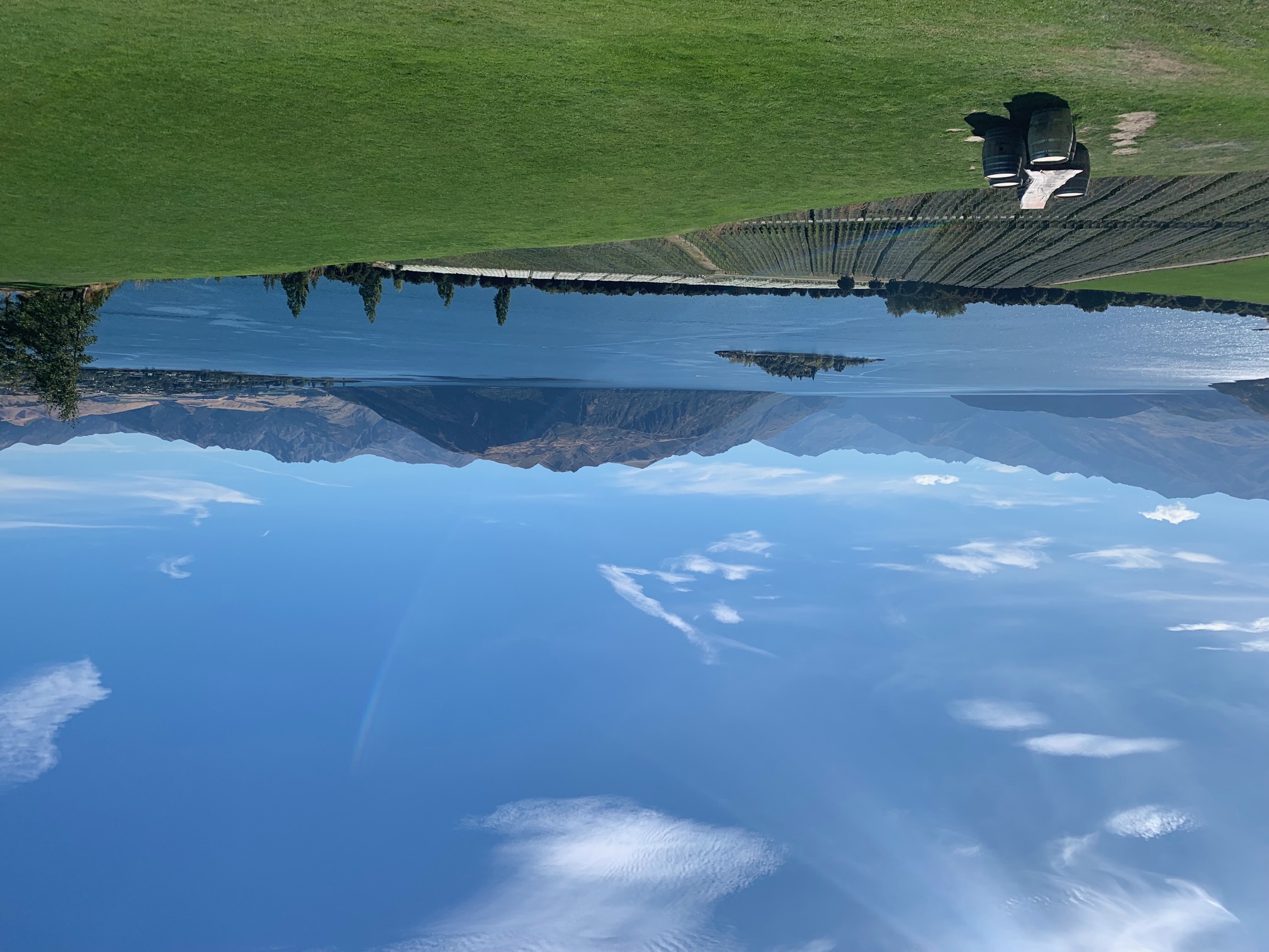 Beautiful view of green lawn by the lake