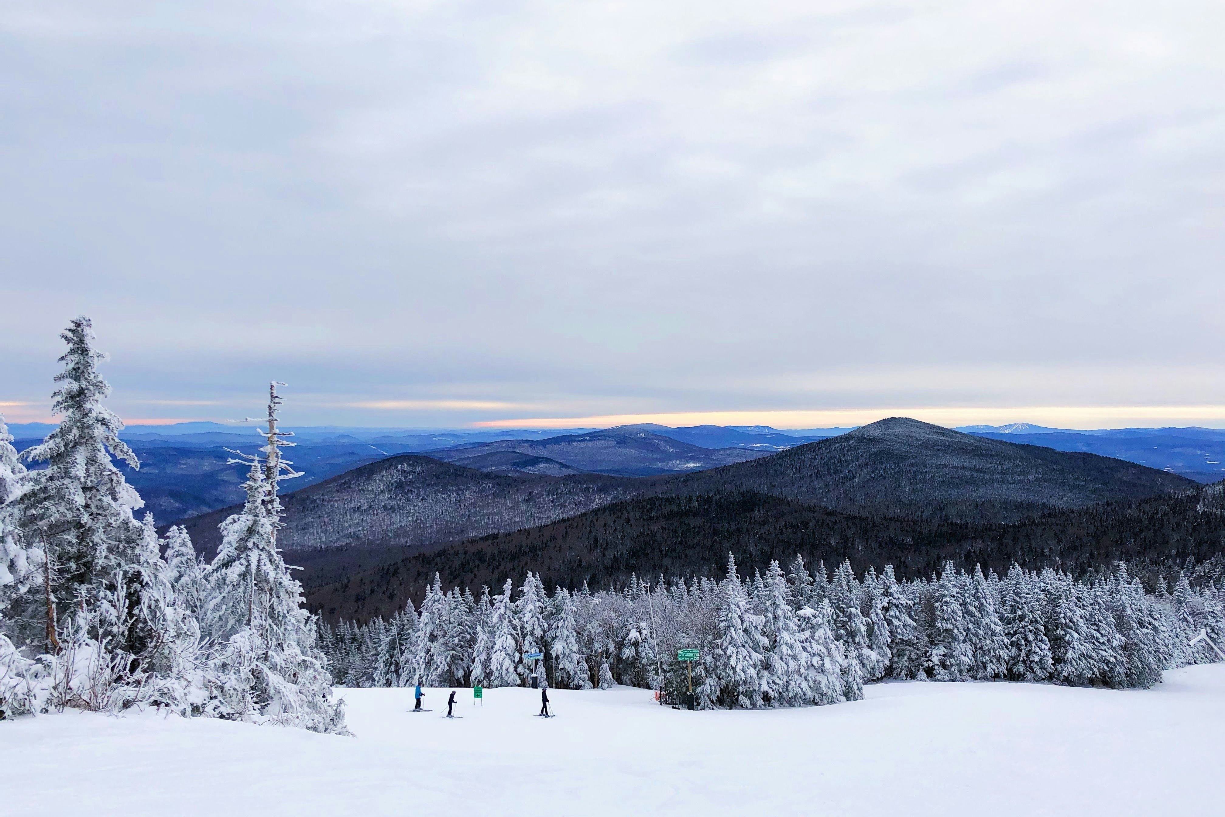 A picture of snow covering pine trees and mountains.
