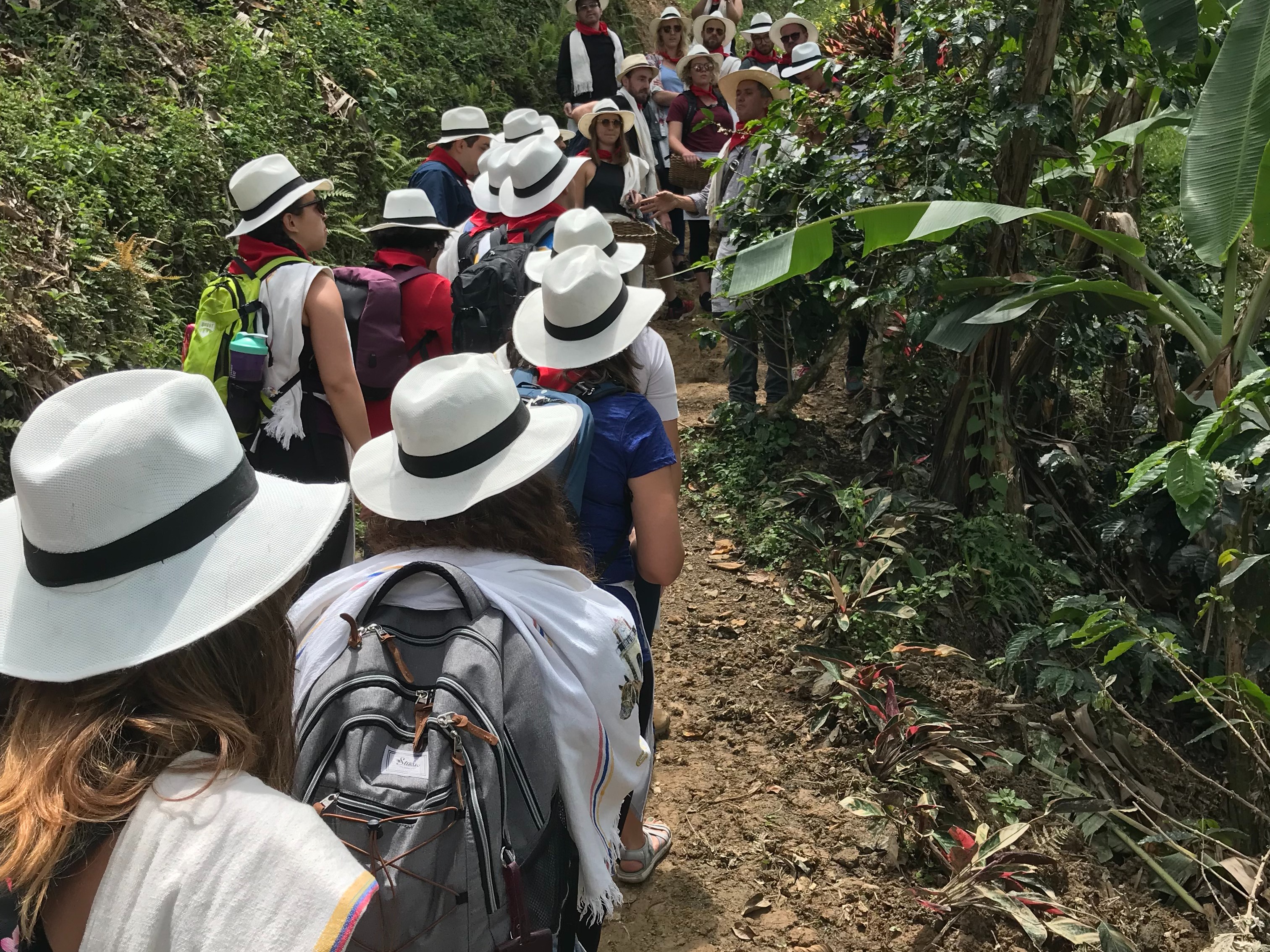 Group of people in white hates walking through a lush green space