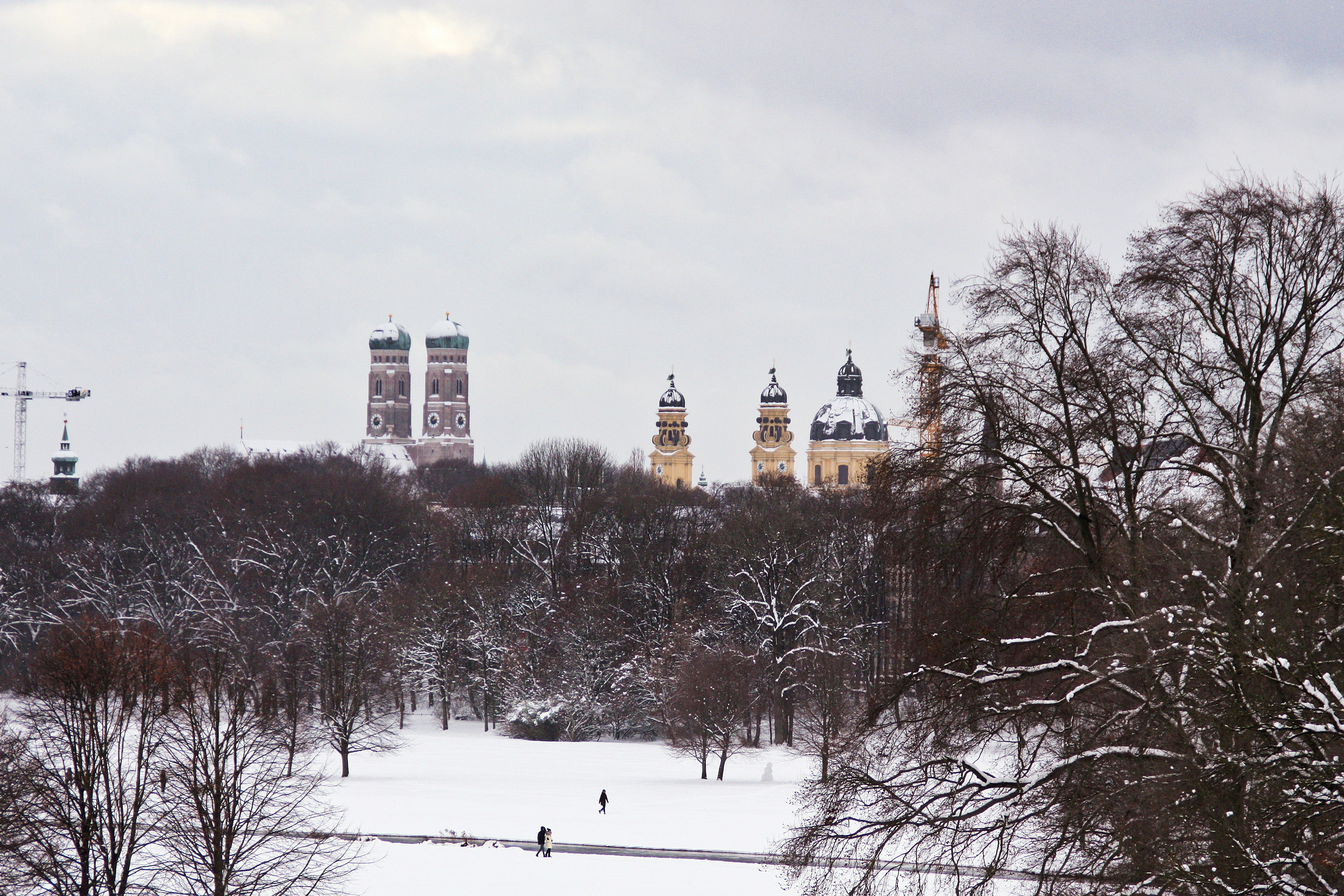 An aerial view of the Englischer Garten covered with trees and snow during daytime.