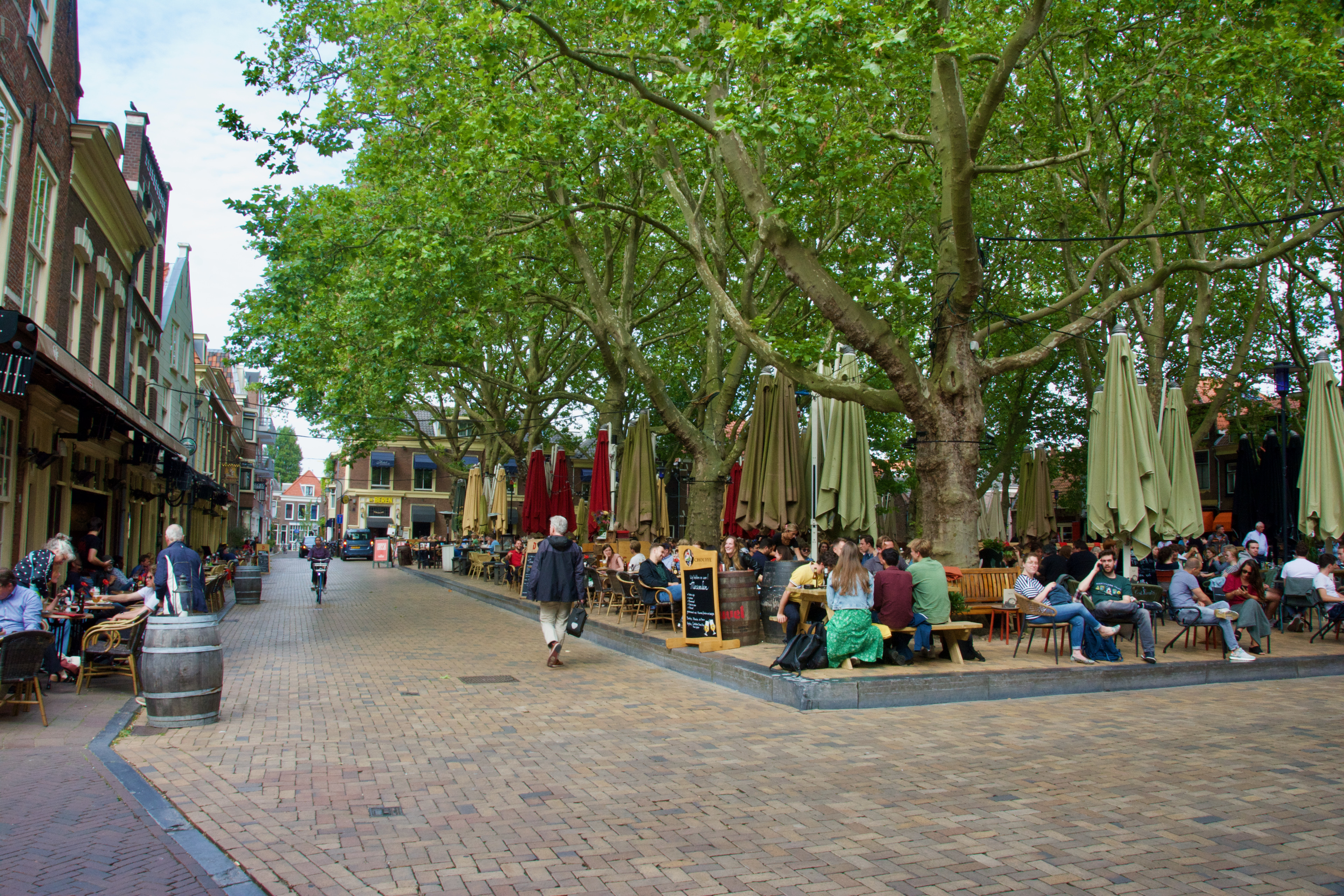 An image of De Beestenmarkt with several bars and restaurants for outside dining surrounded by large trees.