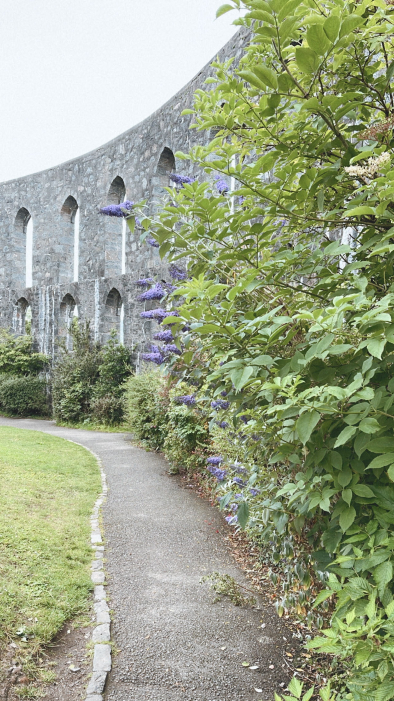 View of McCaig's Tower