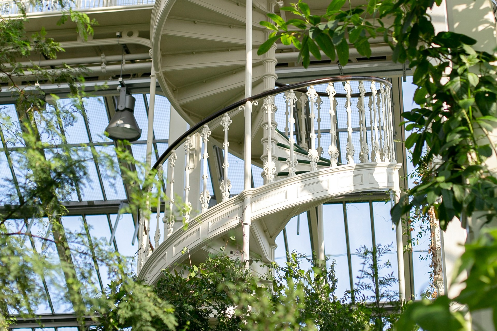 a white spiral staircase in a plant-filled atrium