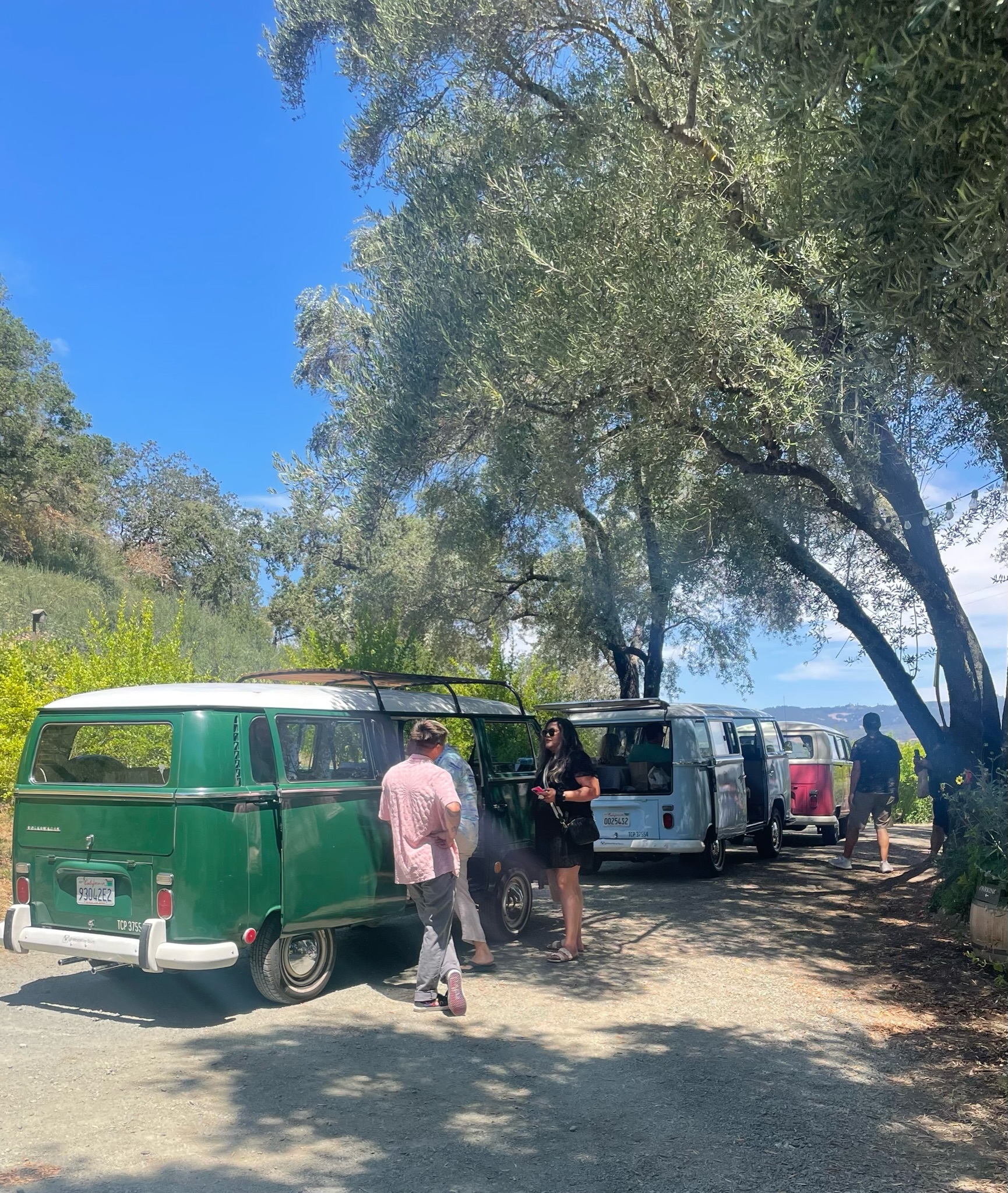 Picture of buses