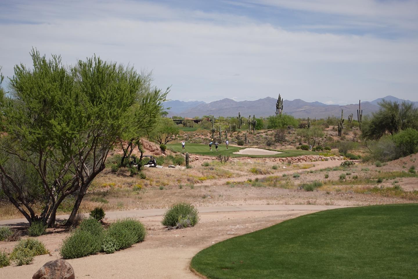 Men playing golf