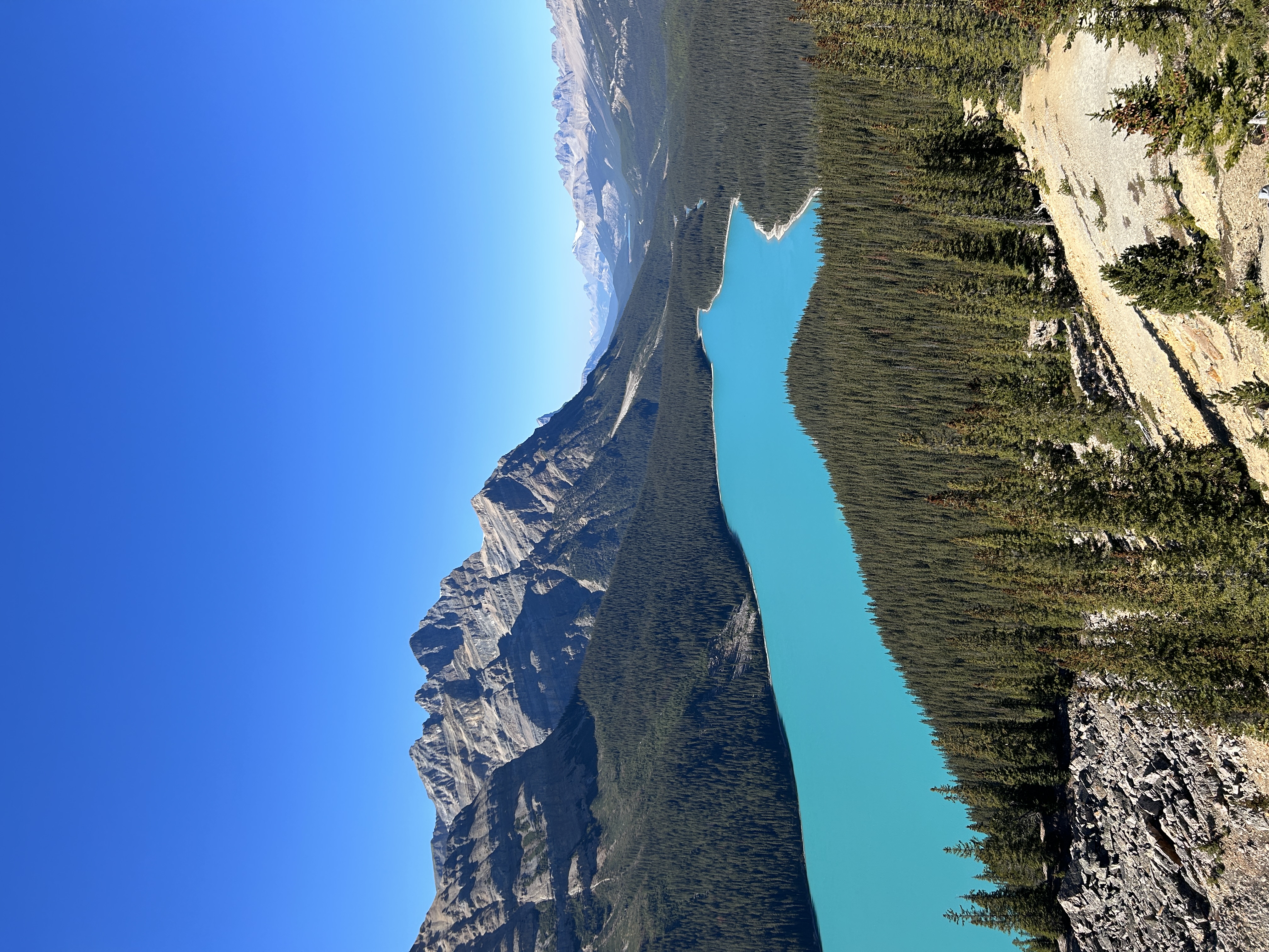 Beautiful view of Peyto Lake