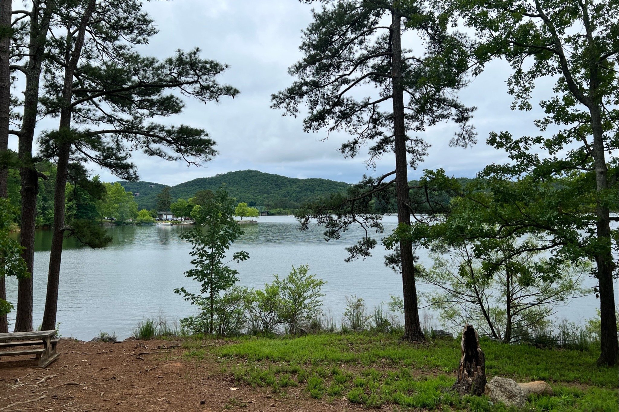 A far view from a park of a lake during daytime.