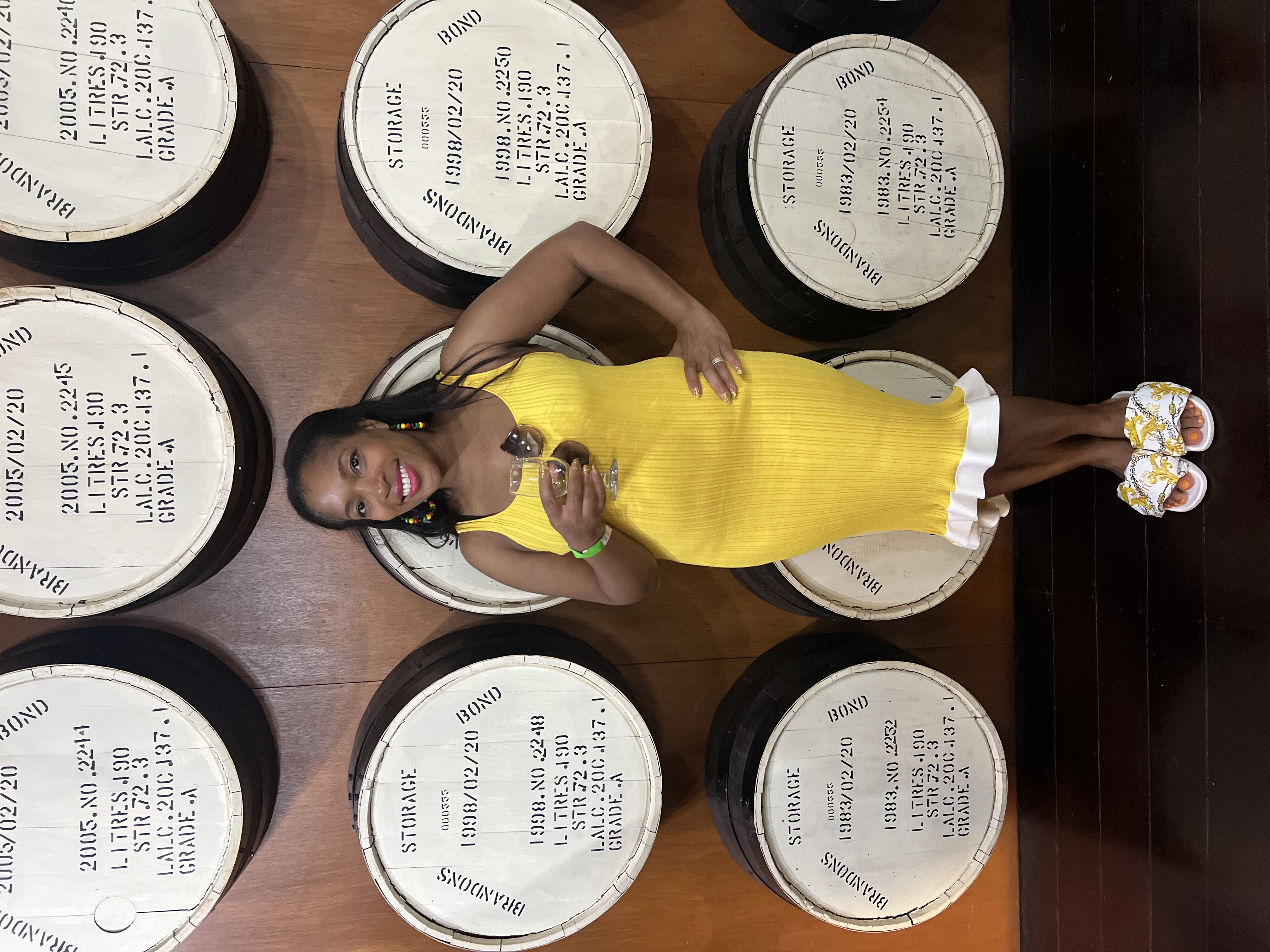 Travel Advisor - Nataki Hudson