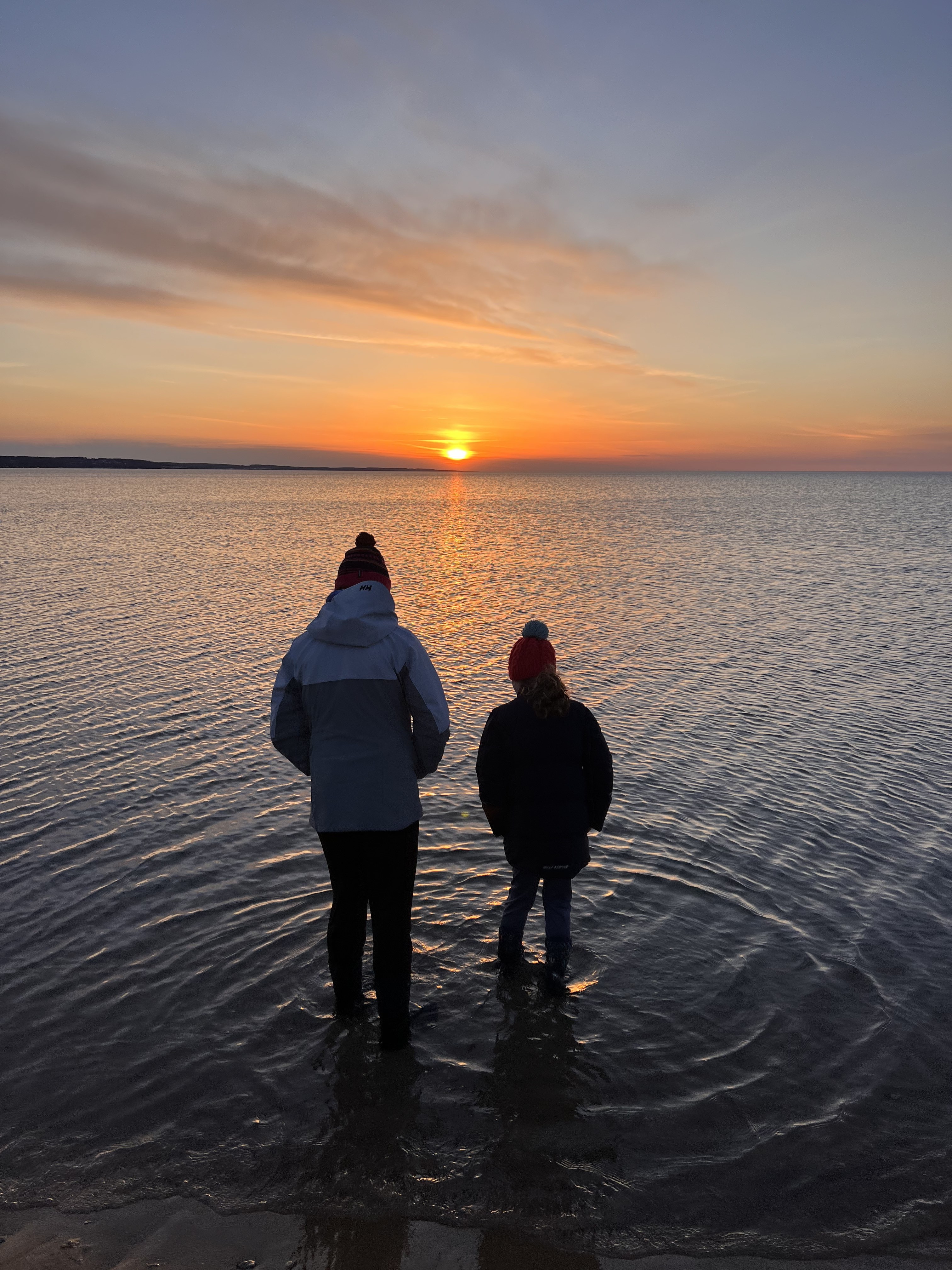 Advisor - Julie Rogers