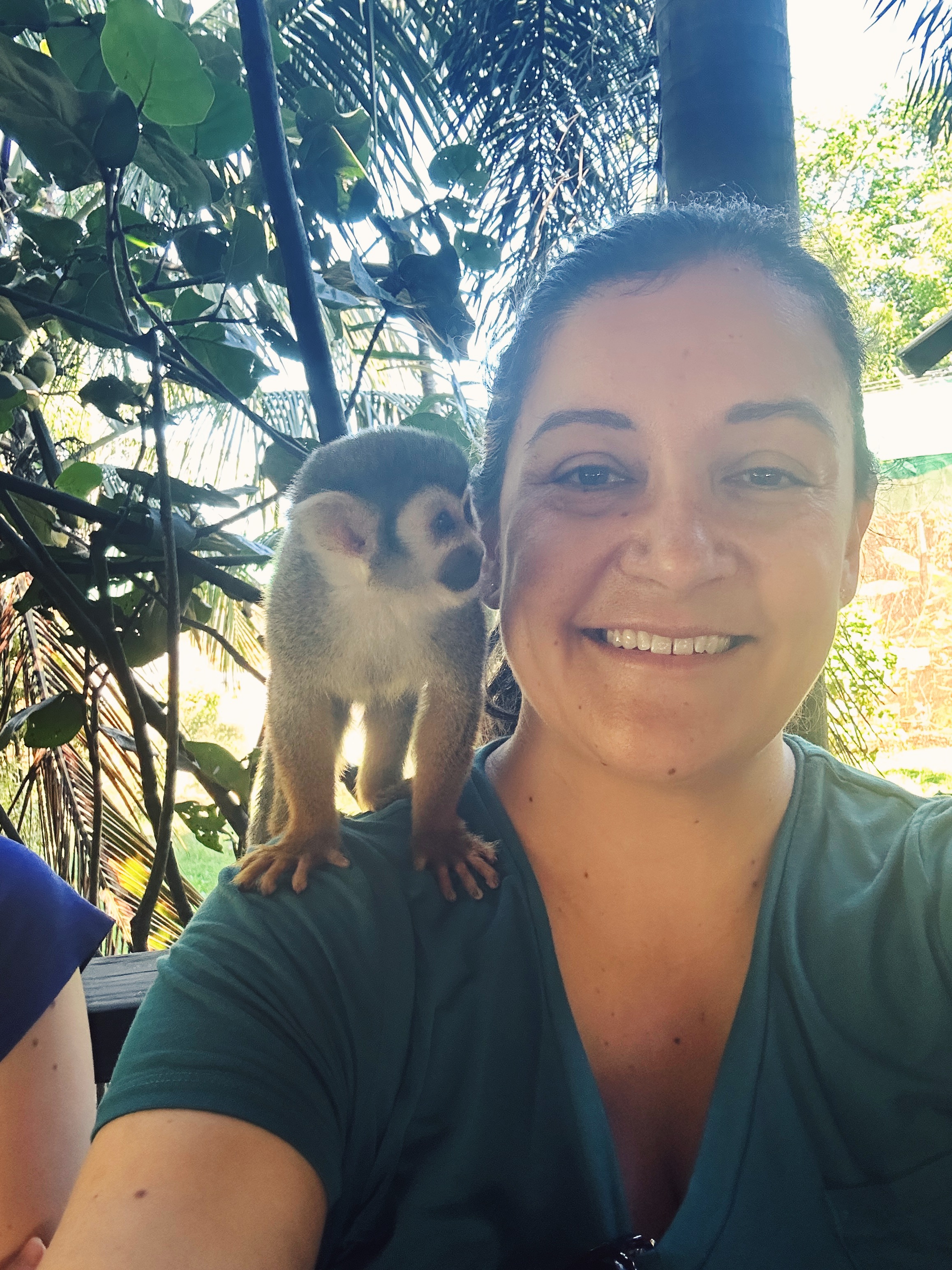 Advisor - Laura Muriello