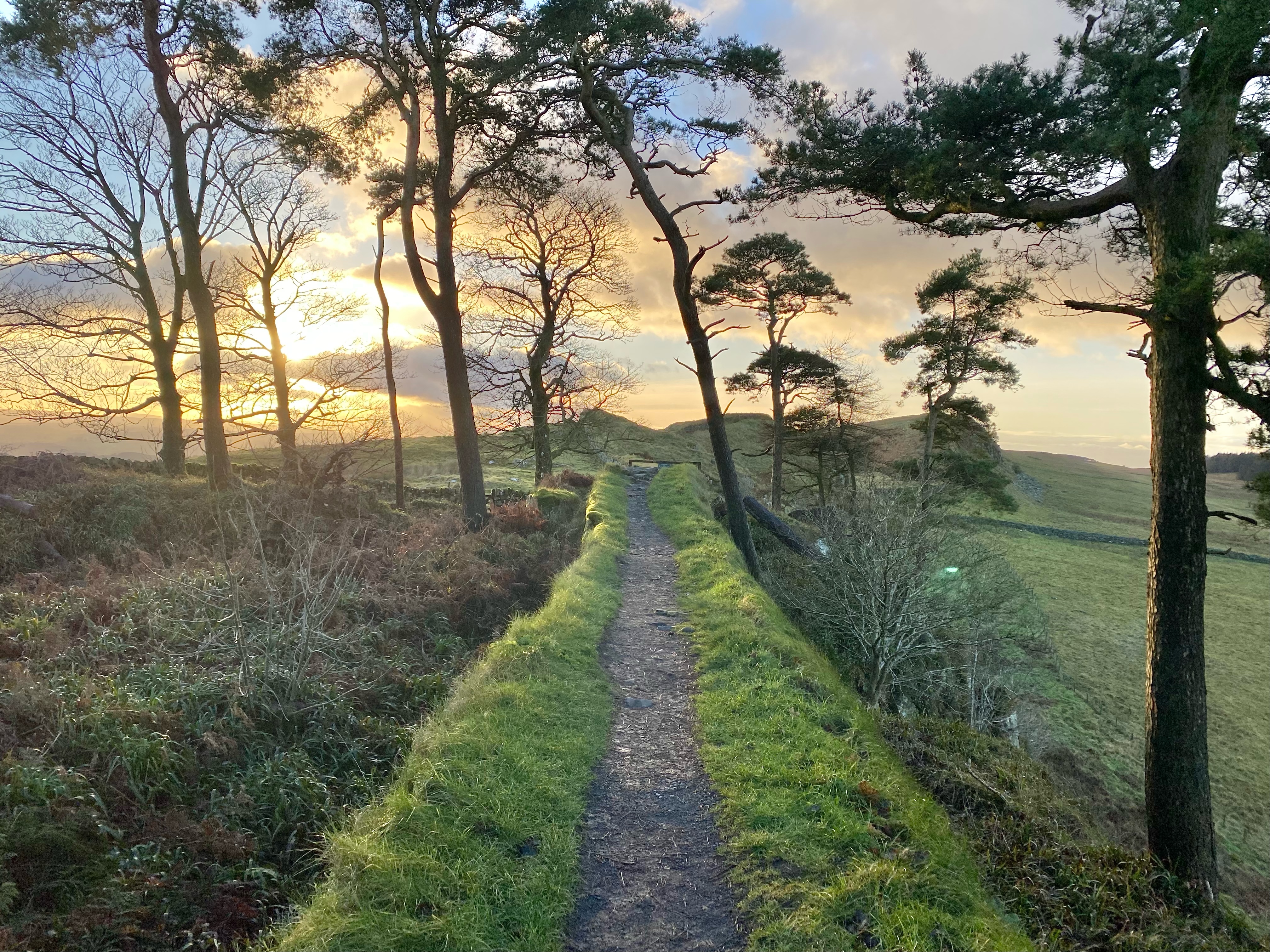 Advisor - Simi Tapia