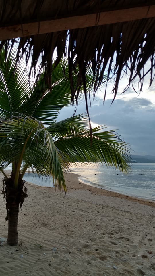 Advisor - Debbie Dechant