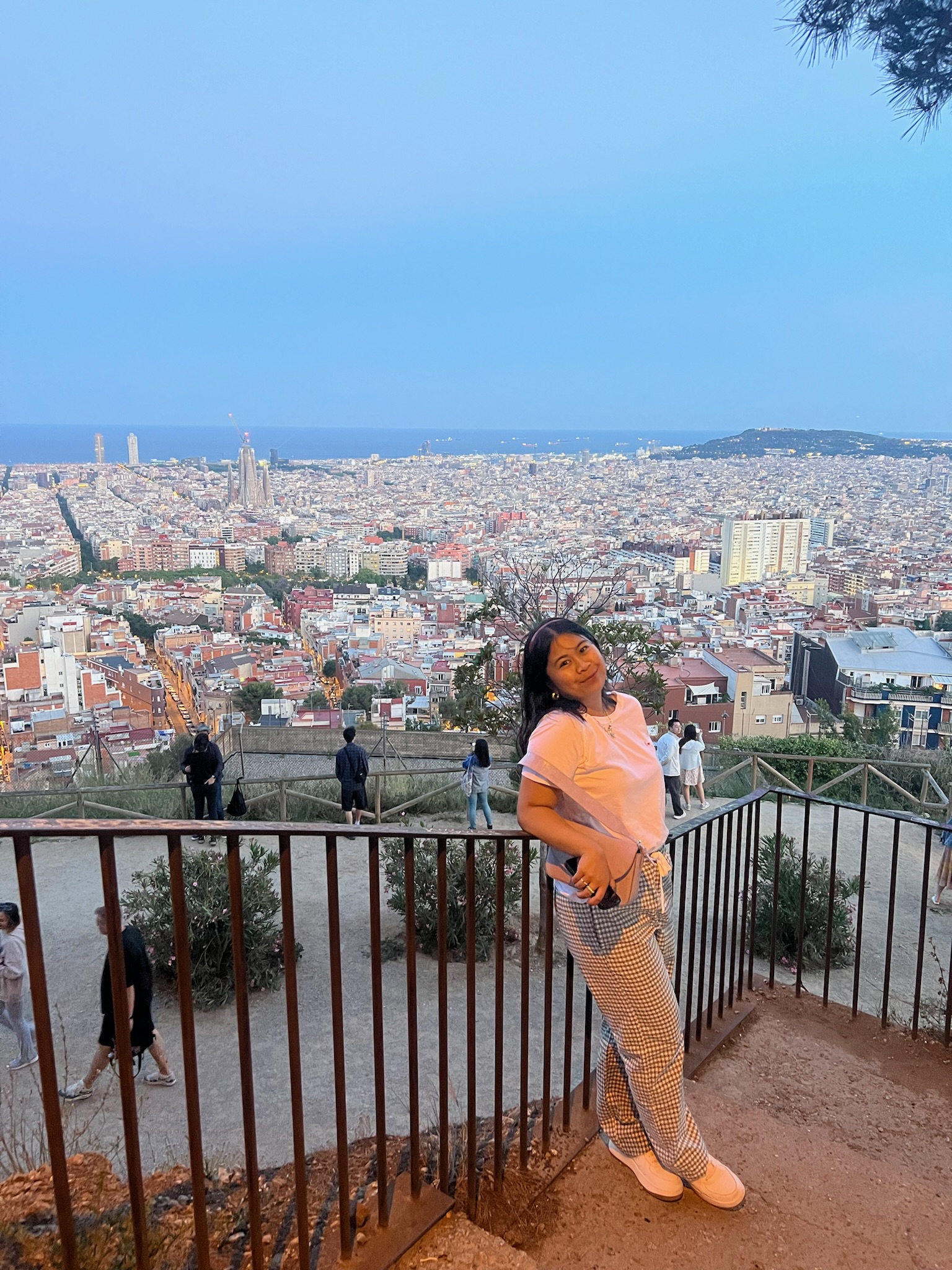 Advisor - Beatrice Arellano