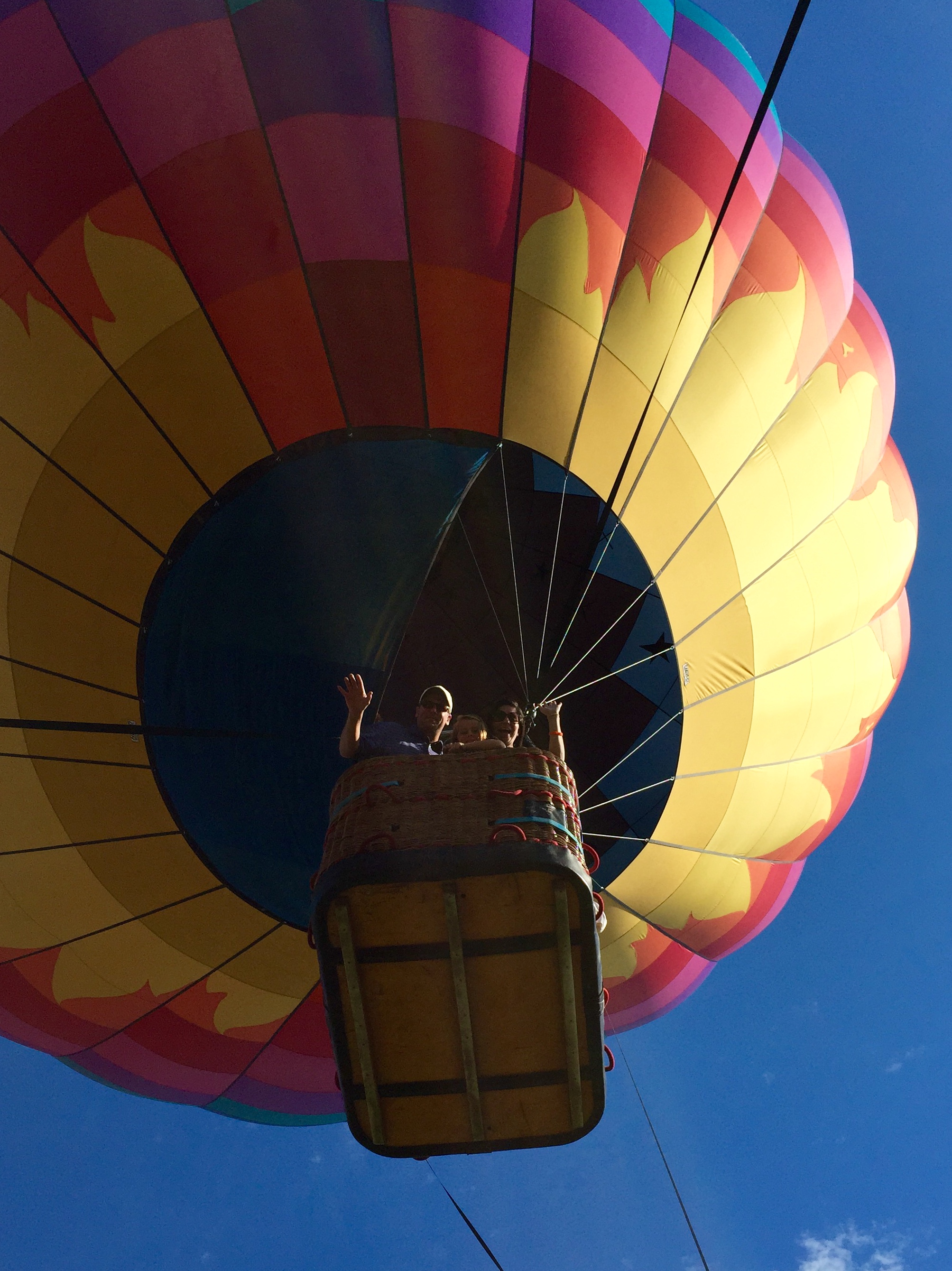 Jennifer Lanzarone curated by Jennifer Lanzarone