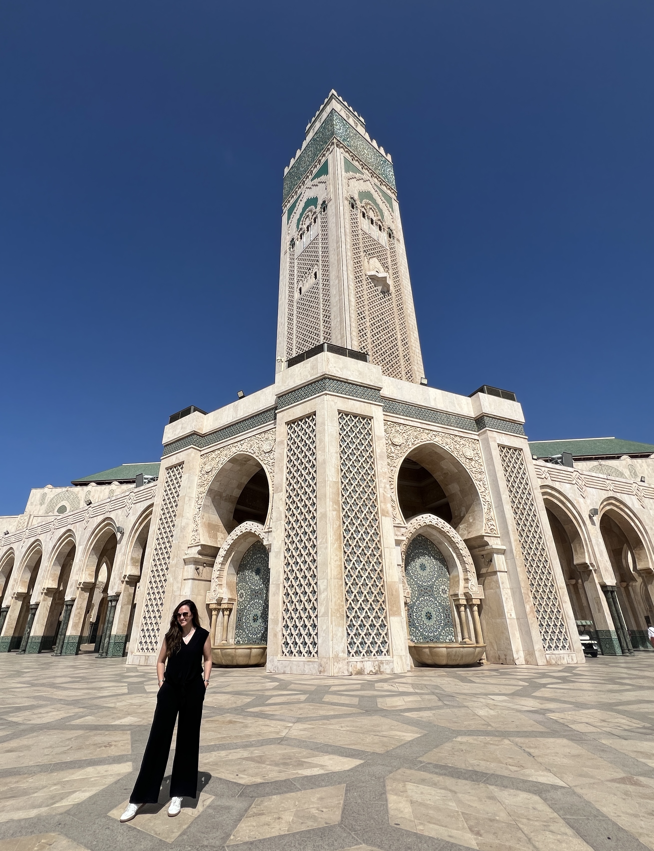 Advisor - Luisa Armendariz