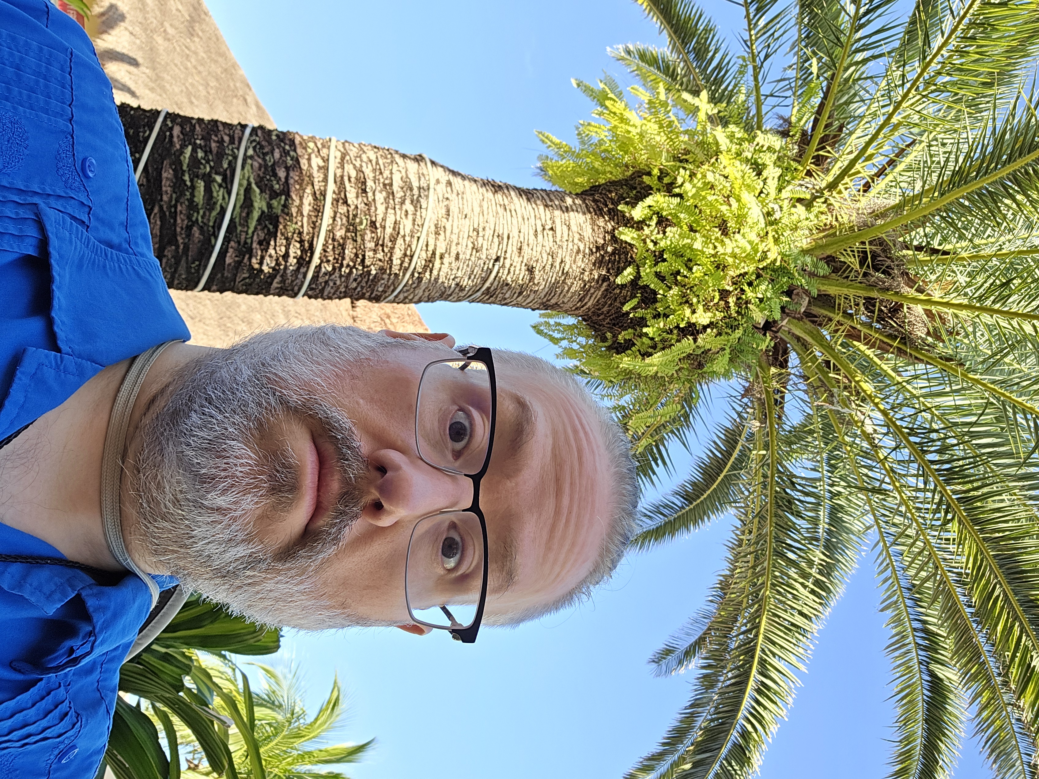 Advisor - Aaron Maternowski