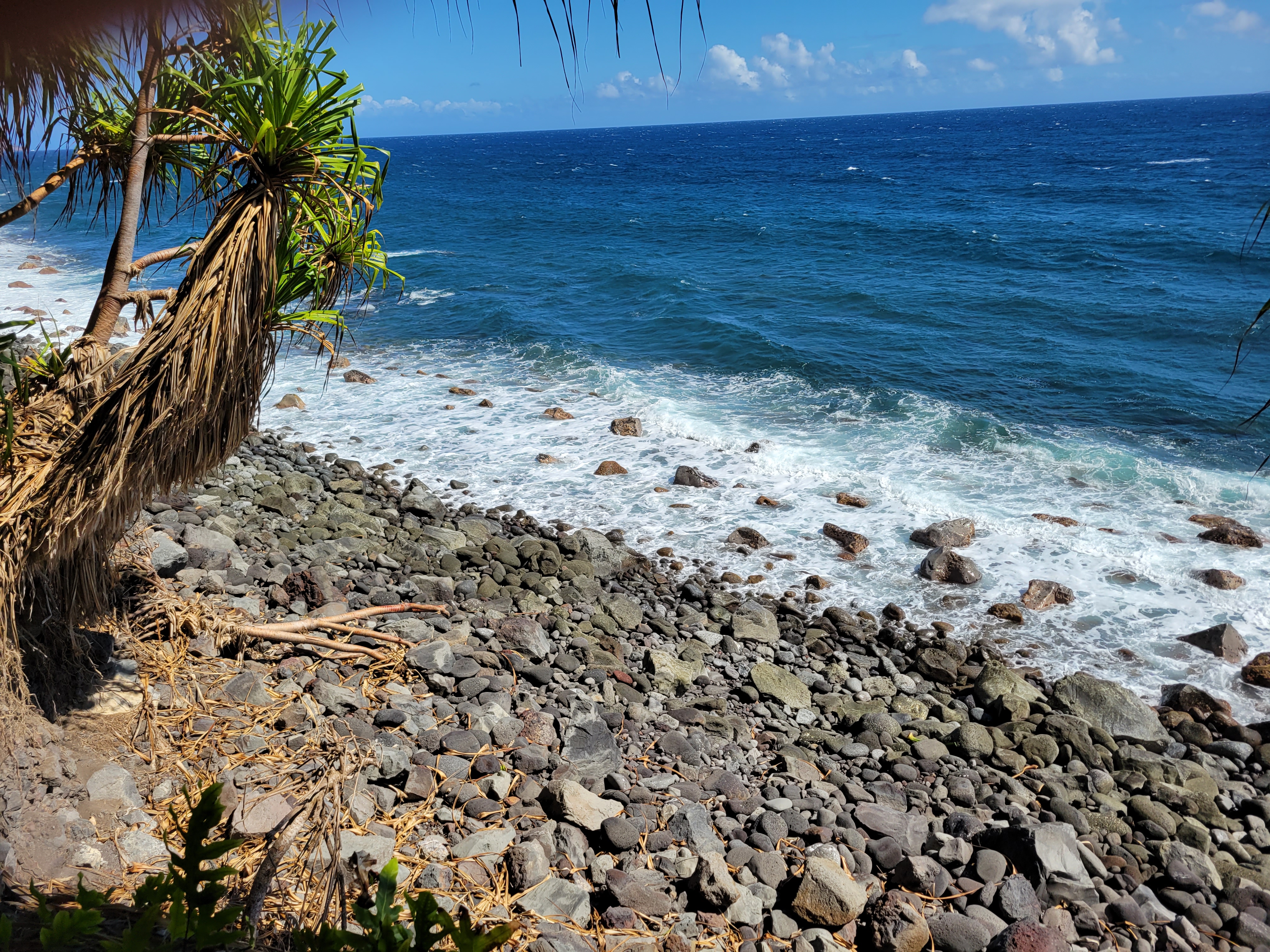 What to Do and See on the Big Island of Hawai'i - Fora Travel