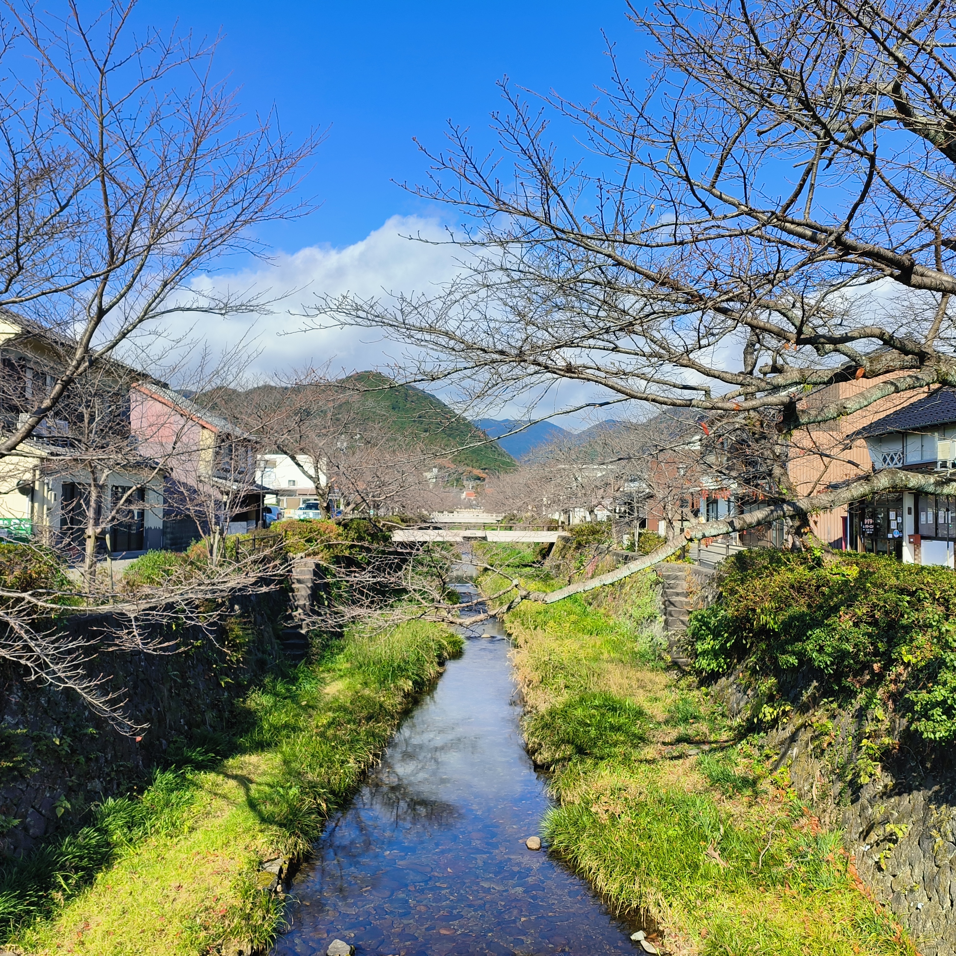 Advisor - Jingle Lim