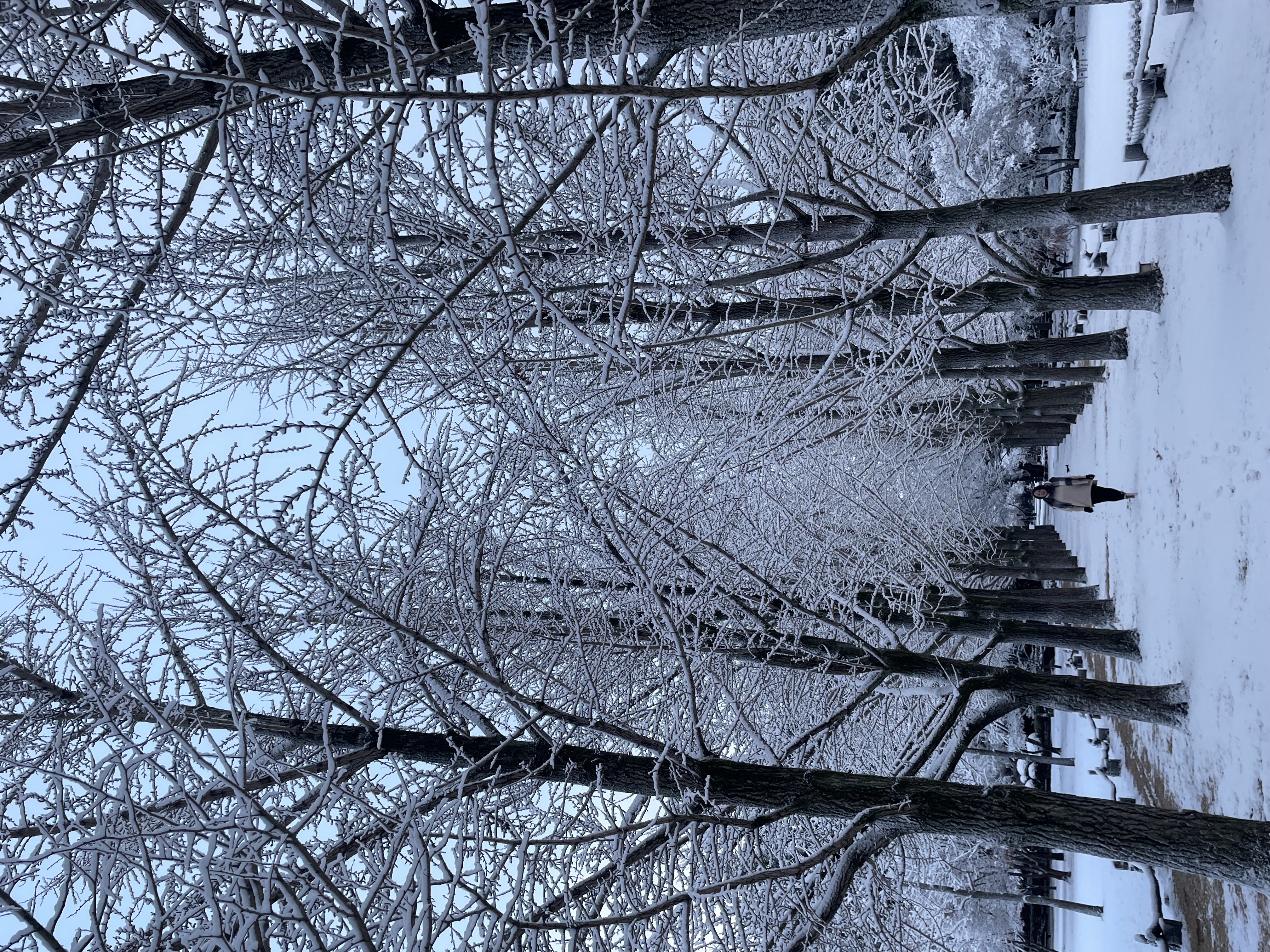 Advisor - Christina Gonzalez