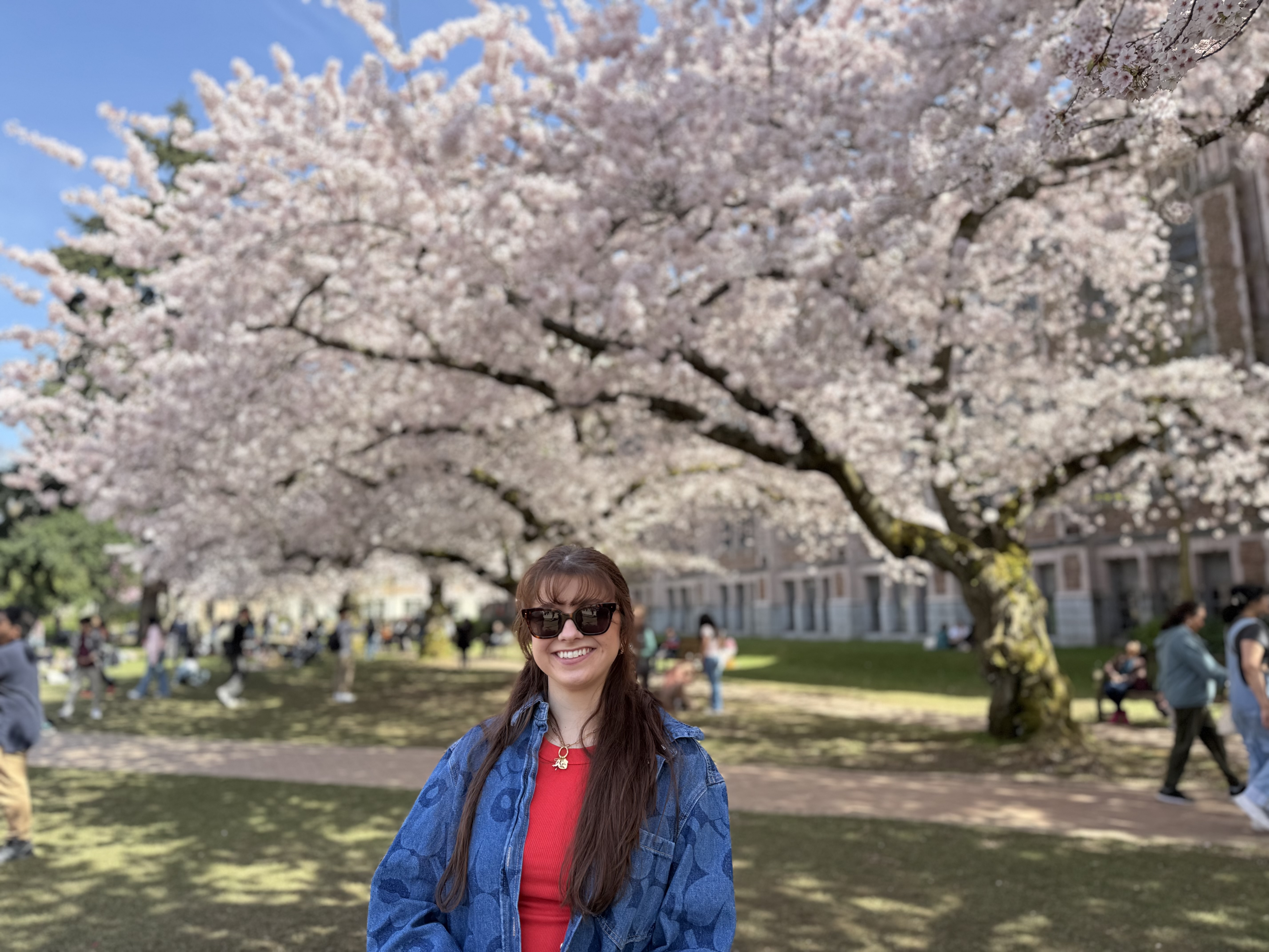 Travel Advisor - Lindsey Drury