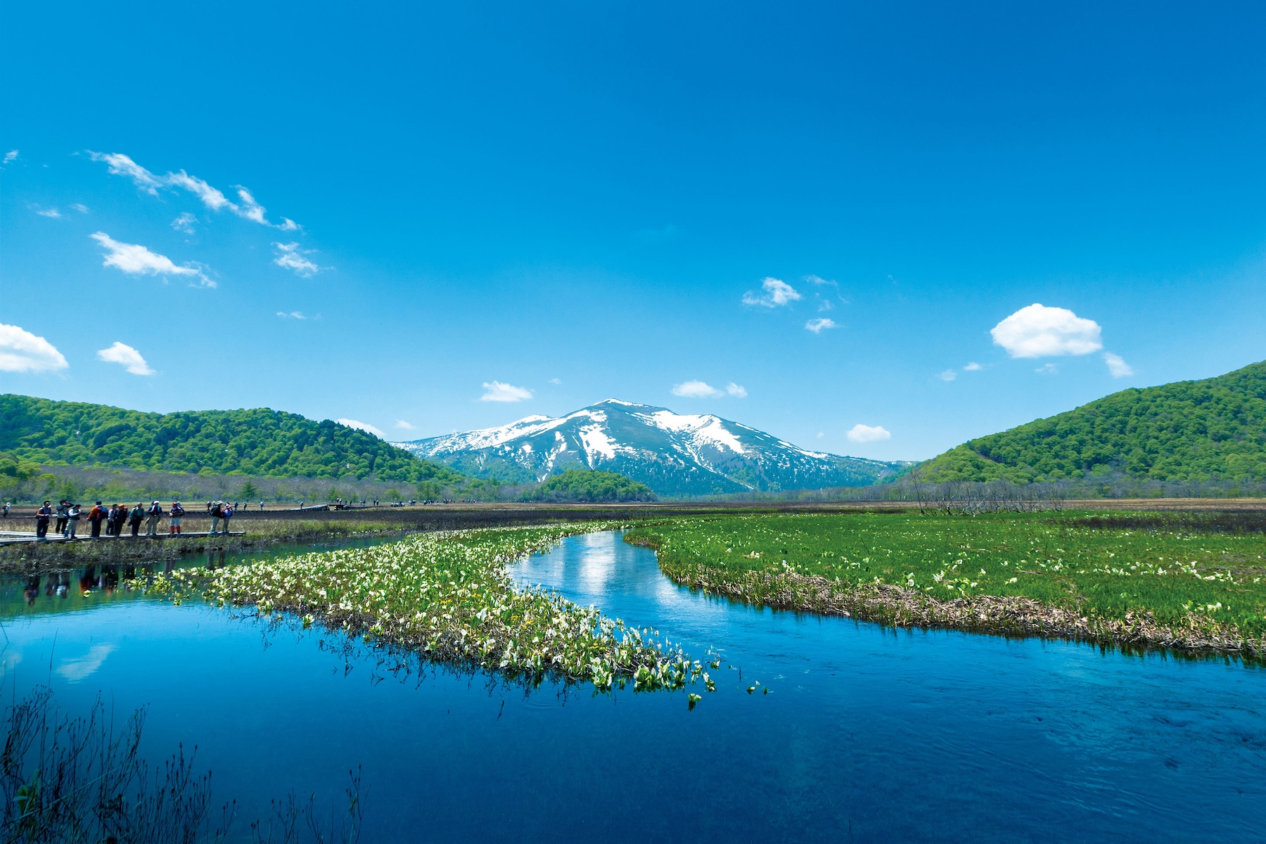 Hike through the marshlands of Oze National Park on elevated boardwalks. Image courtesy of Visit Gunma.