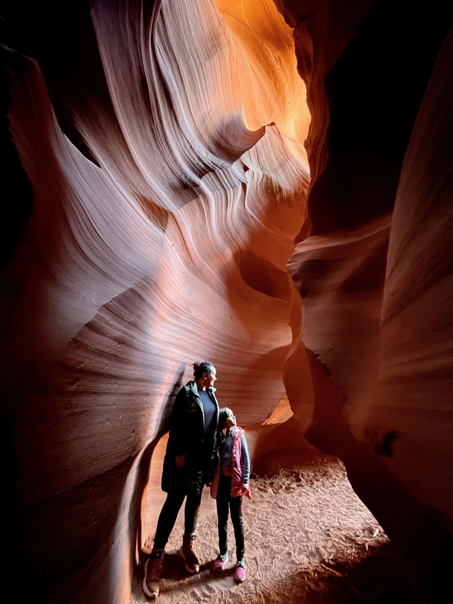 Advisor - Hilla Mohar