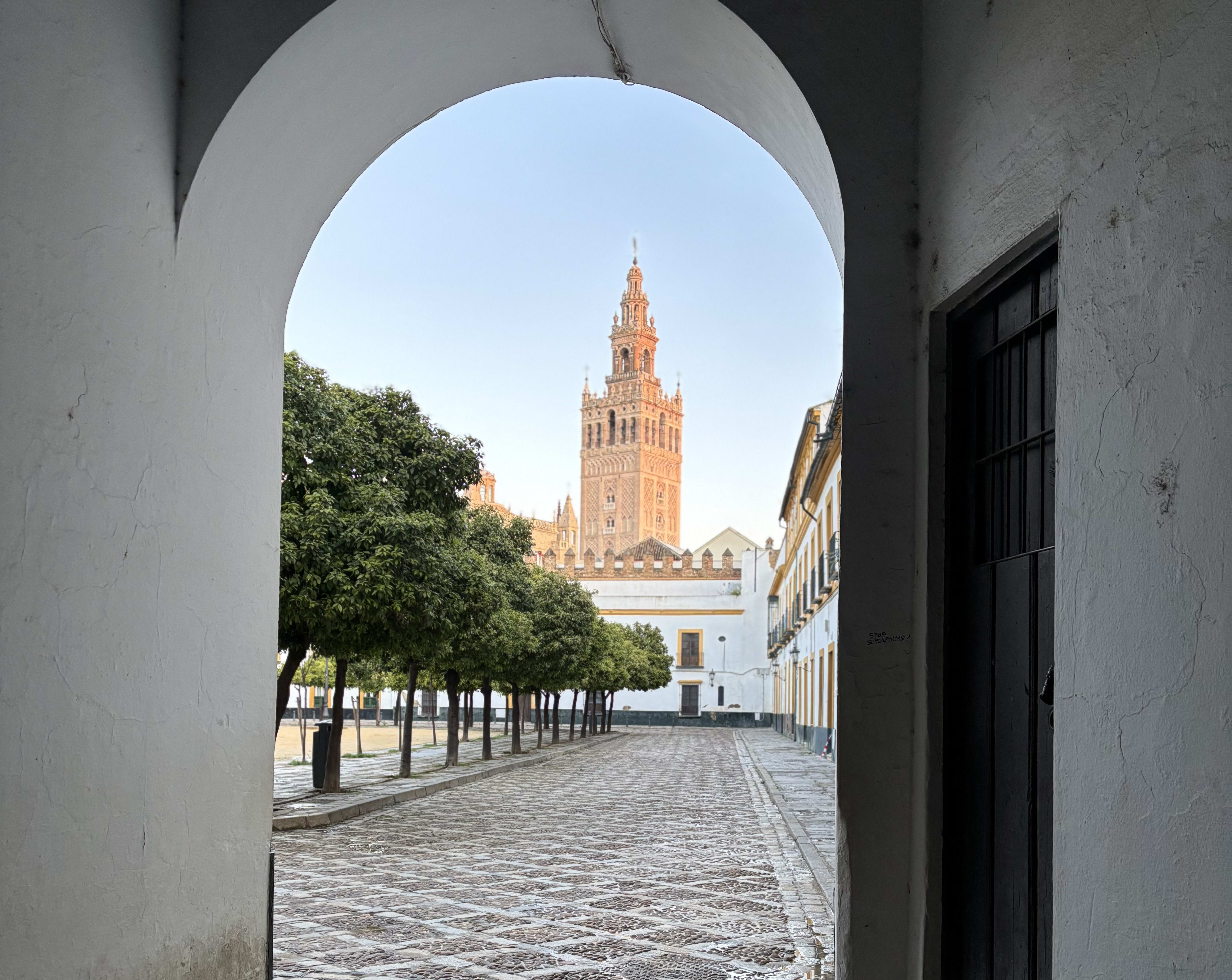 La Giralda, a luminous and towering bell tower, stands in the background and is lit-up by the morning sun, with a cobblestone street and a line of green trees leading towards its base.