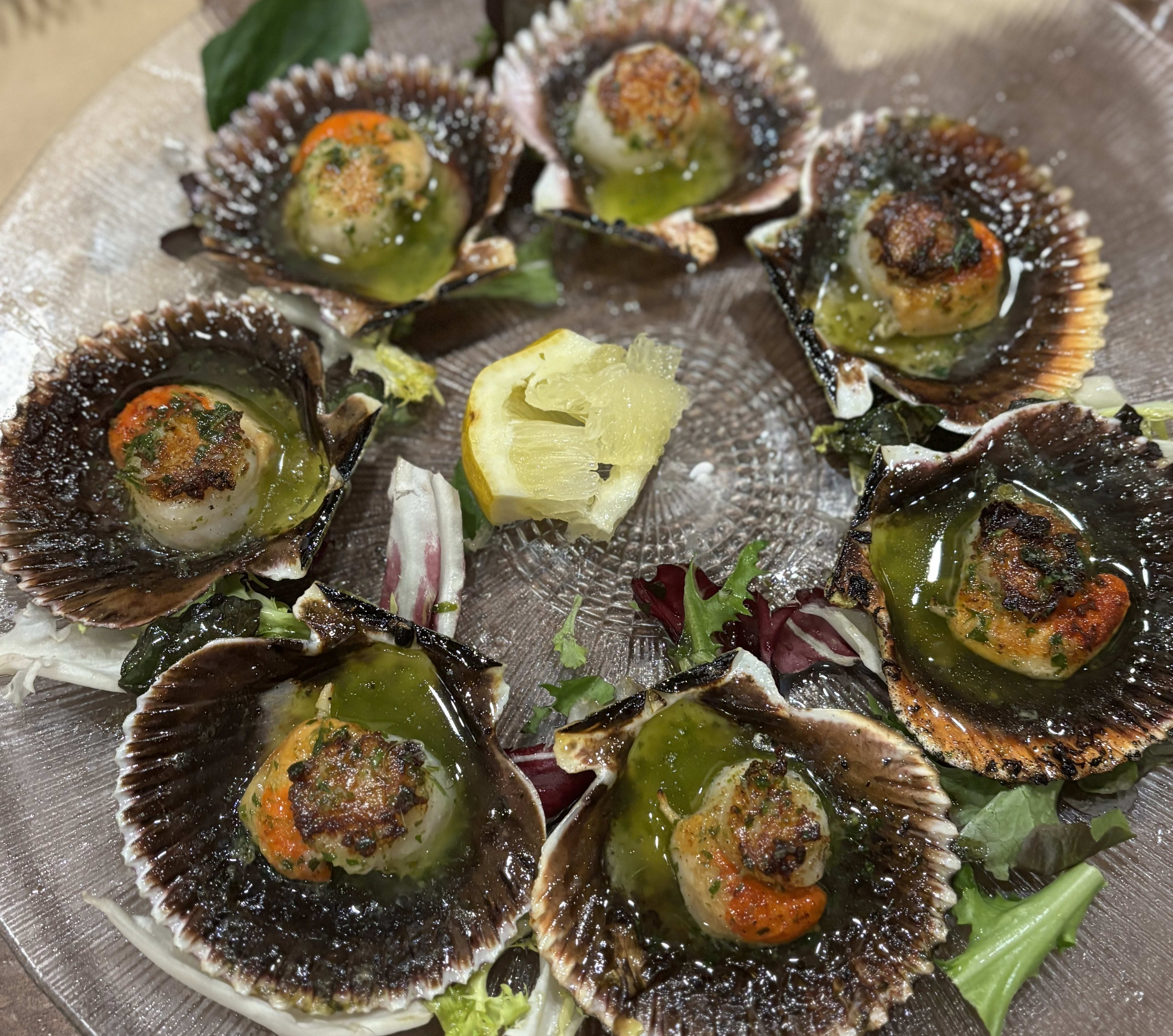 Seven grilled scallops plated on their shell arranged circularly on a glass plate