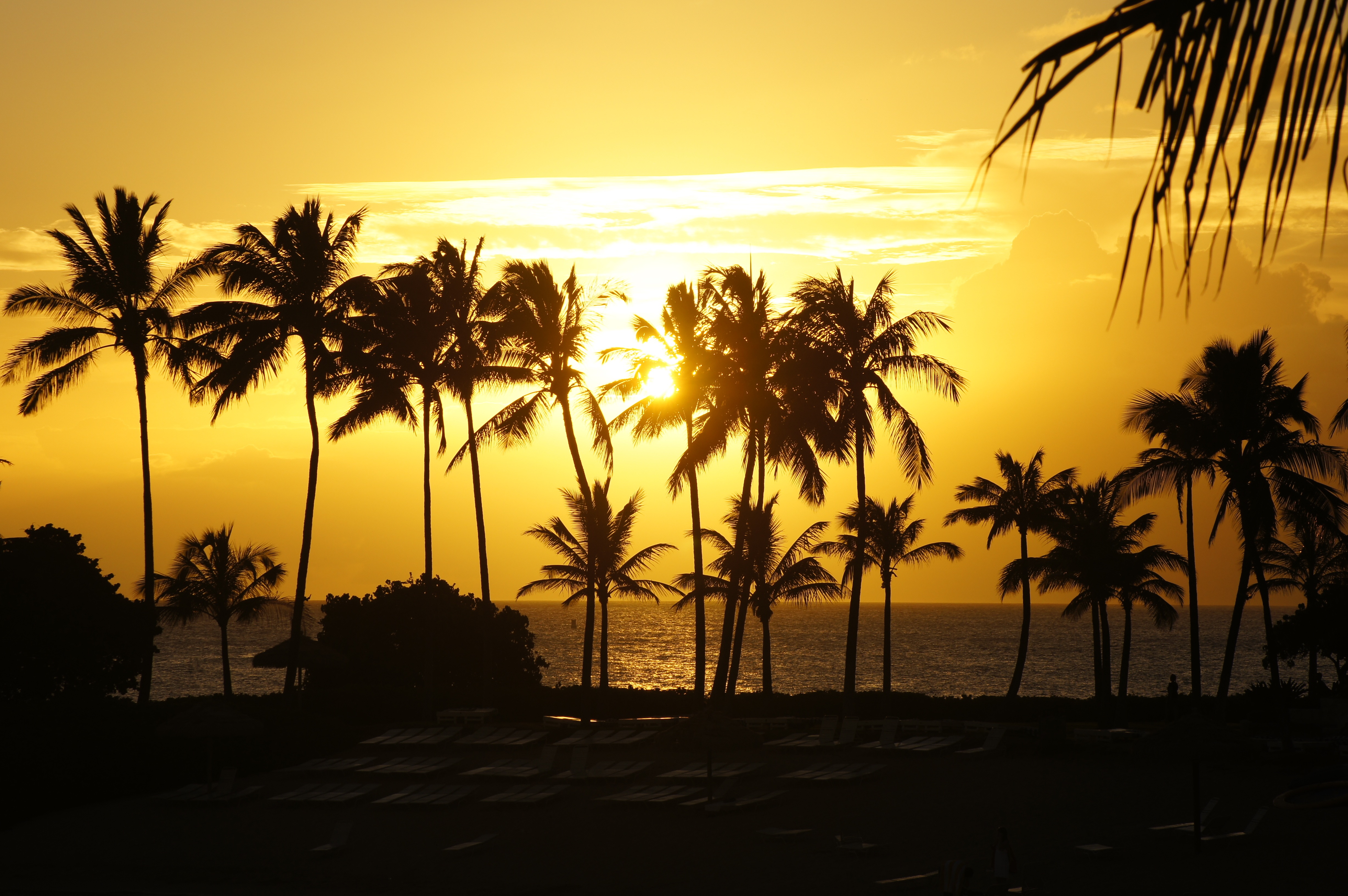 Advisor - Bill Browning