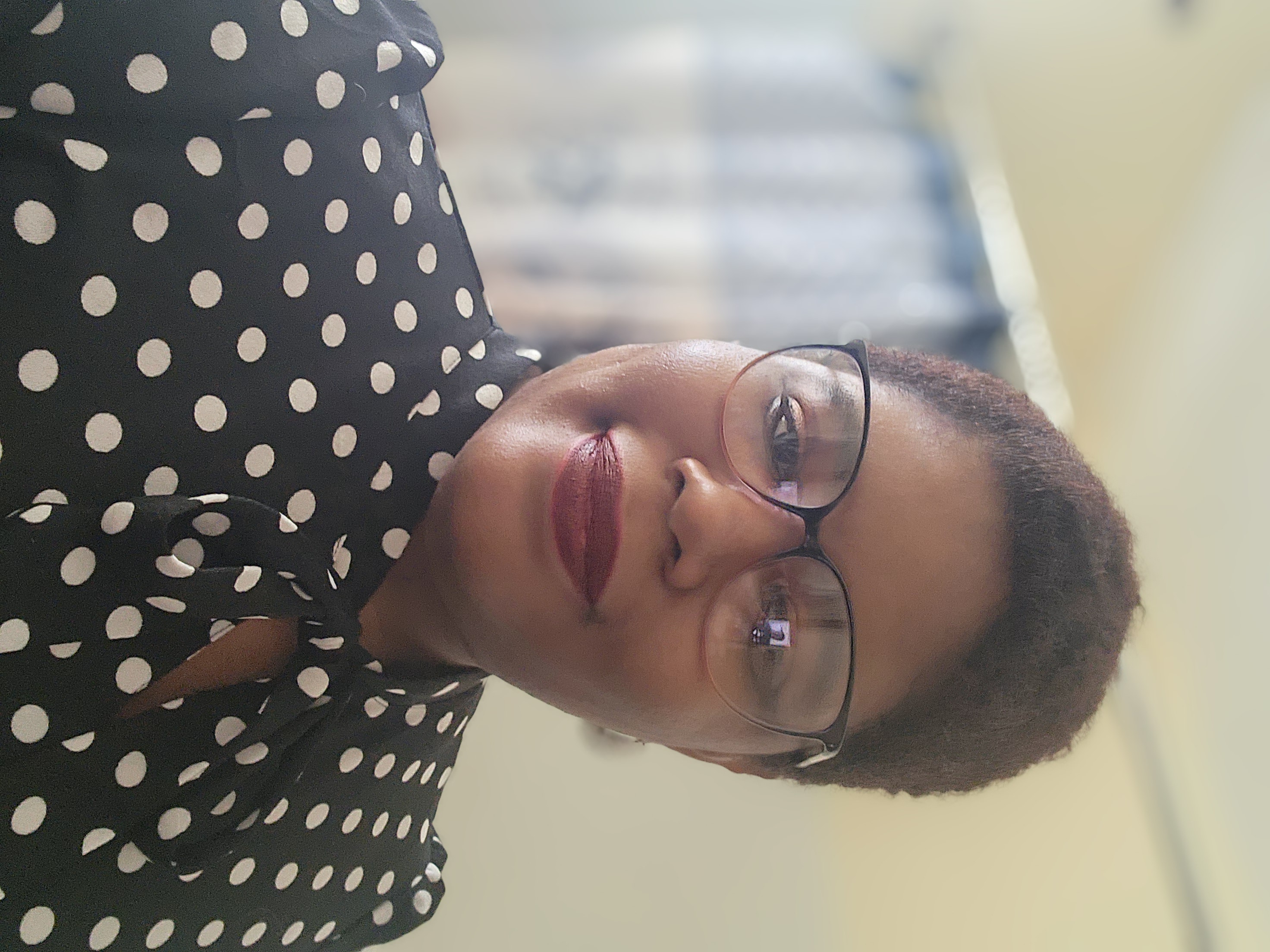 Travel Advisor - Dara Ginier