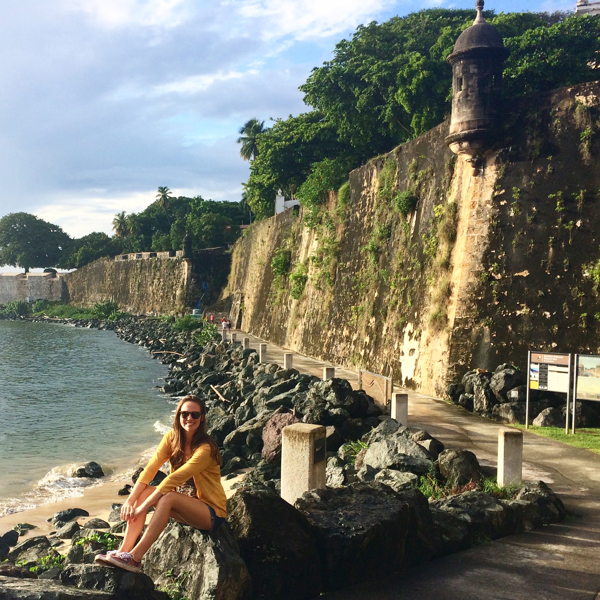 Advisor - Mindy Falk