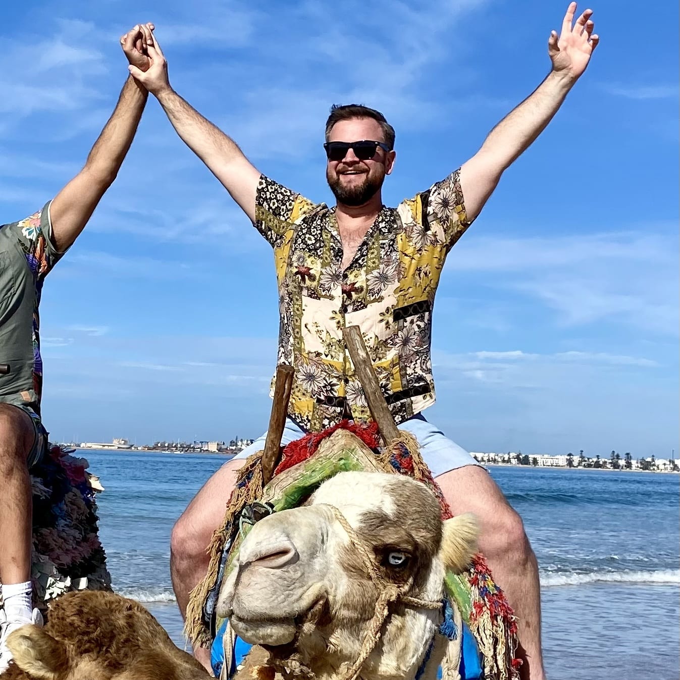 Advisor - Charles Nagy