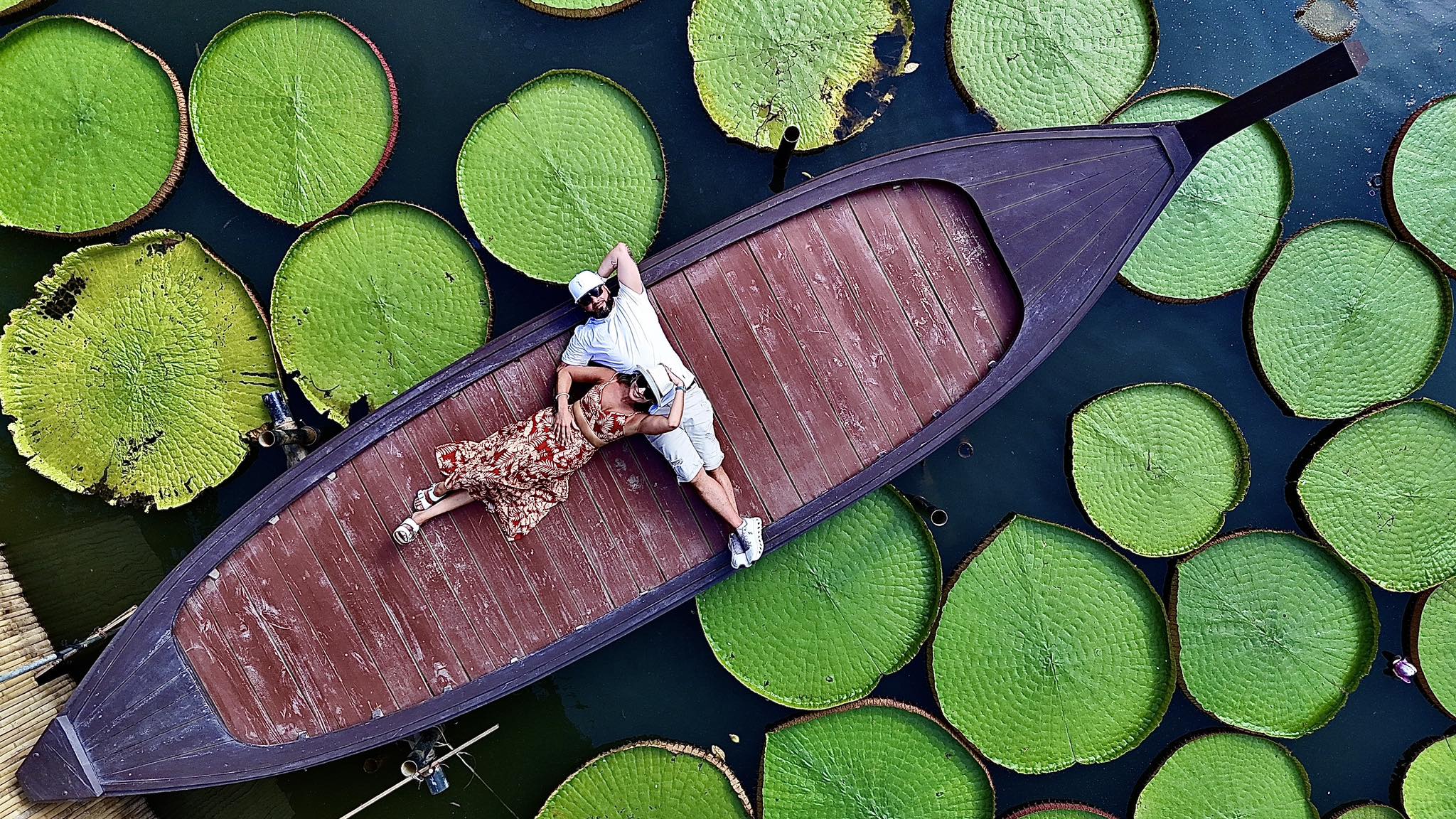 Advisor - Patricia Cordeiro