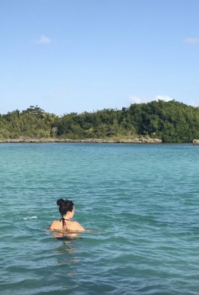 Advisor - Rebeca De la o Schoeneck