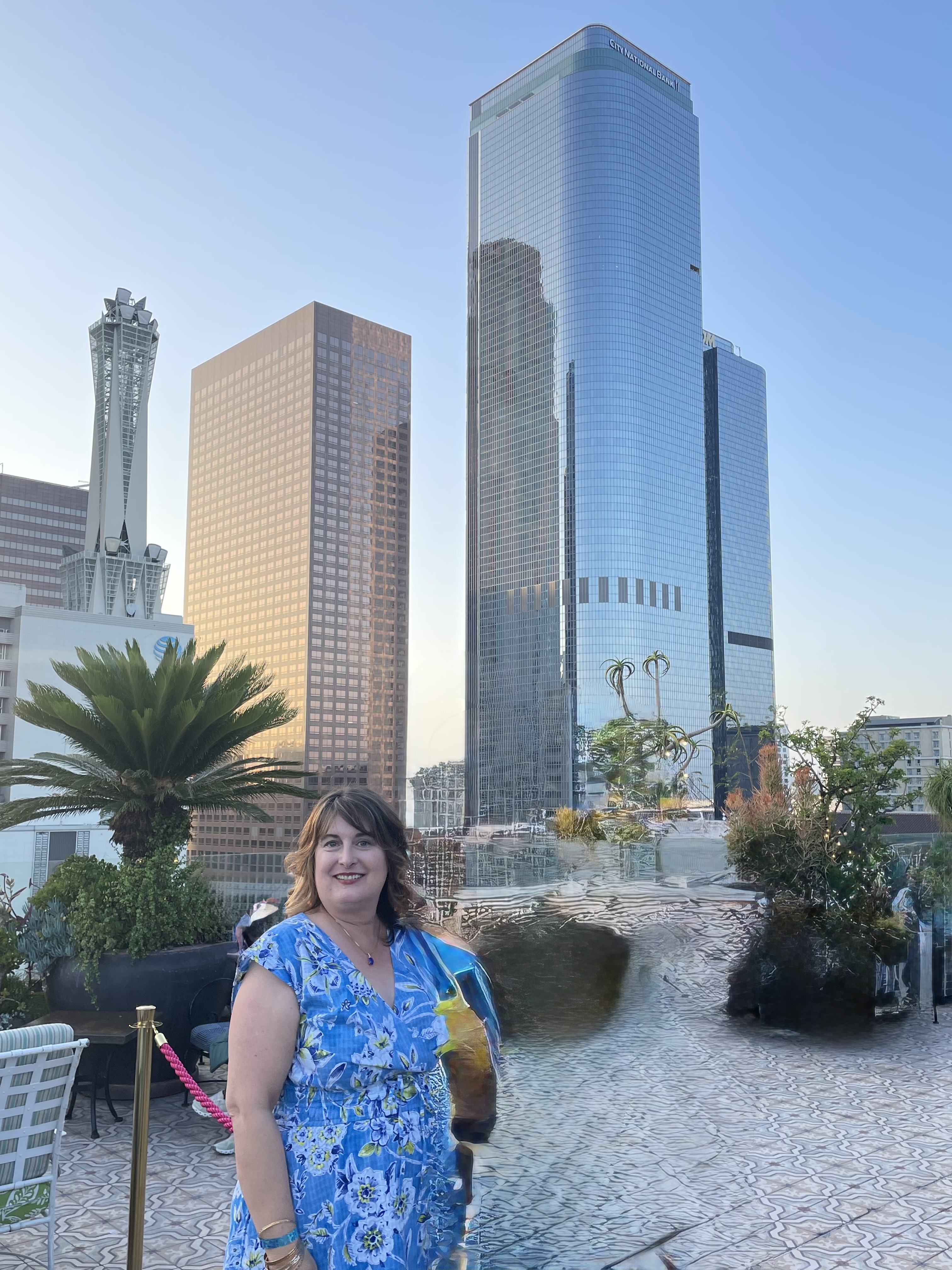 Fora Author - Susan Metzler