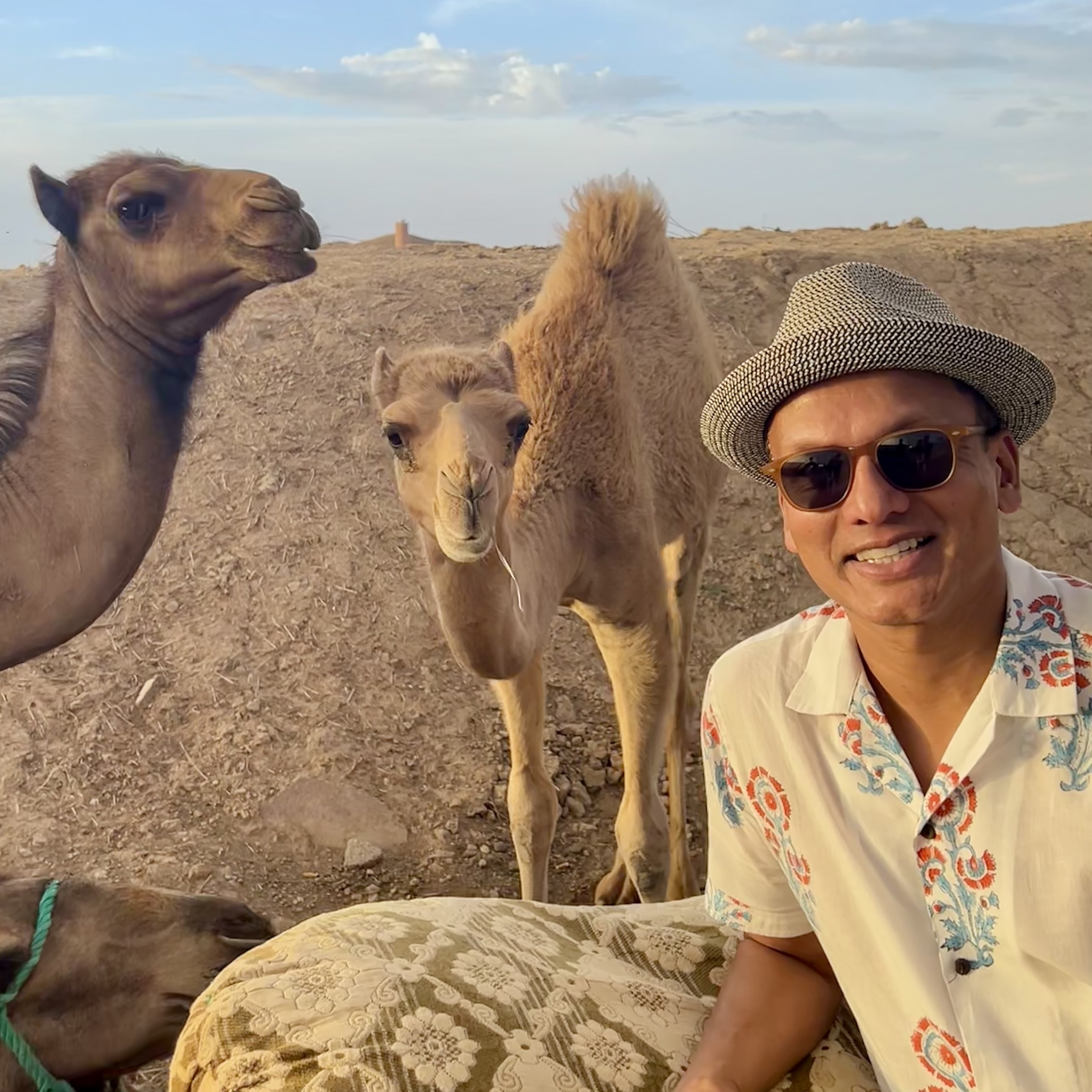 Advisor - Joseph Pinto