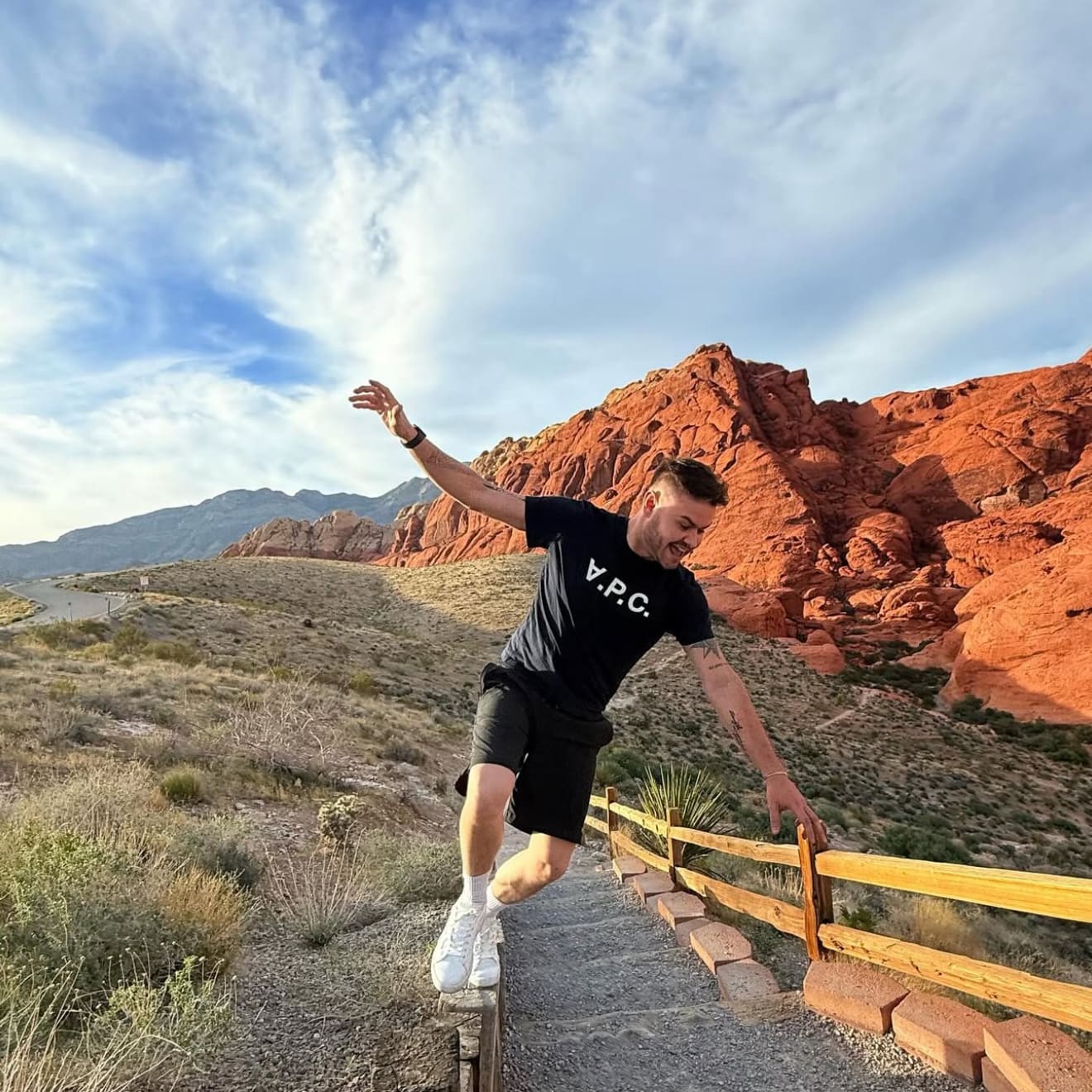 Advisor - Jose Pelissari