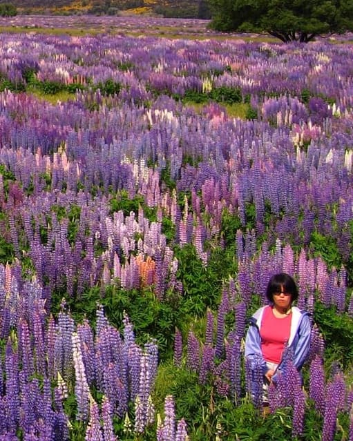 Advisor - Allison Luong