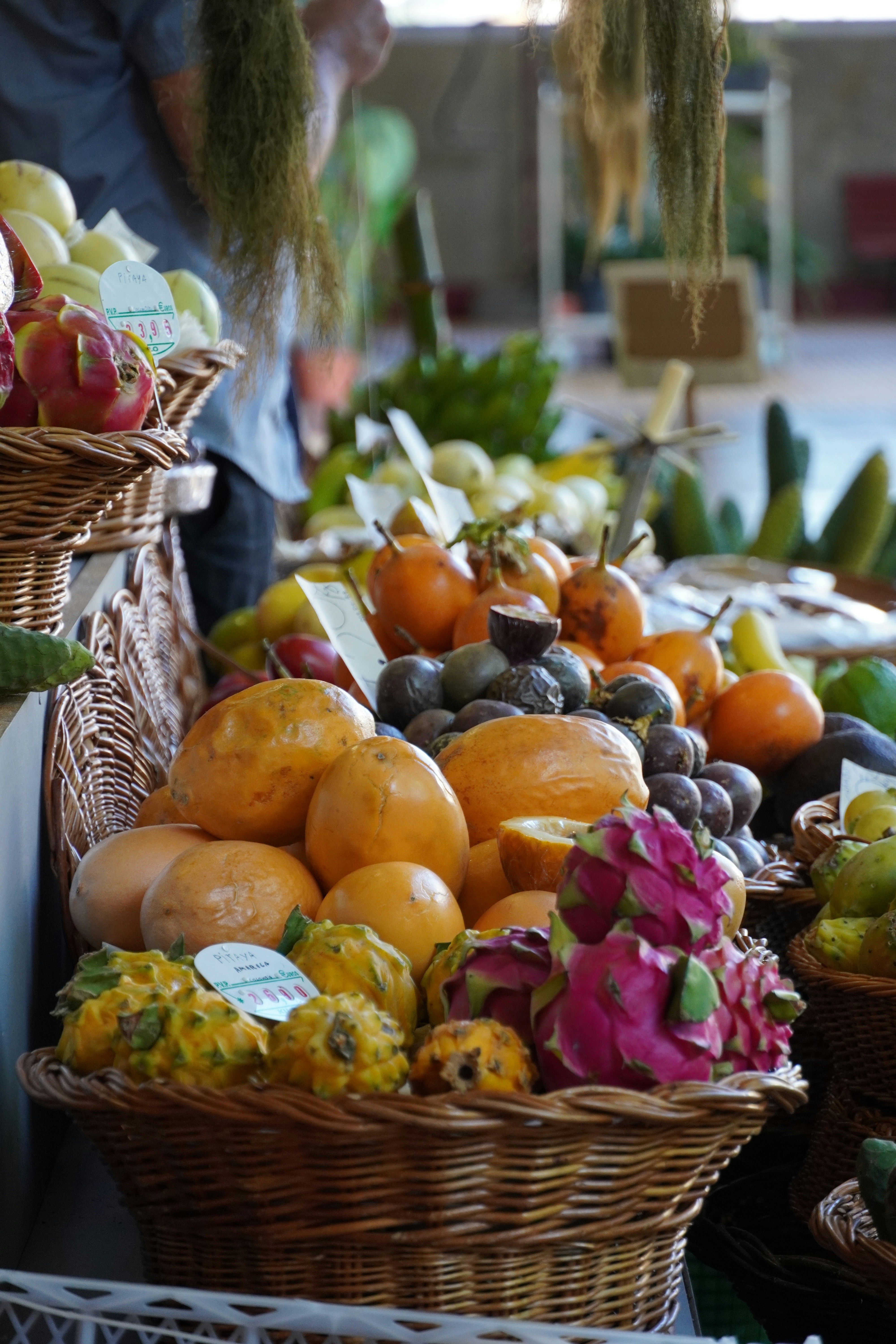 A Taste of Aloha: Exploring Oahu Through Its Farmers Markets