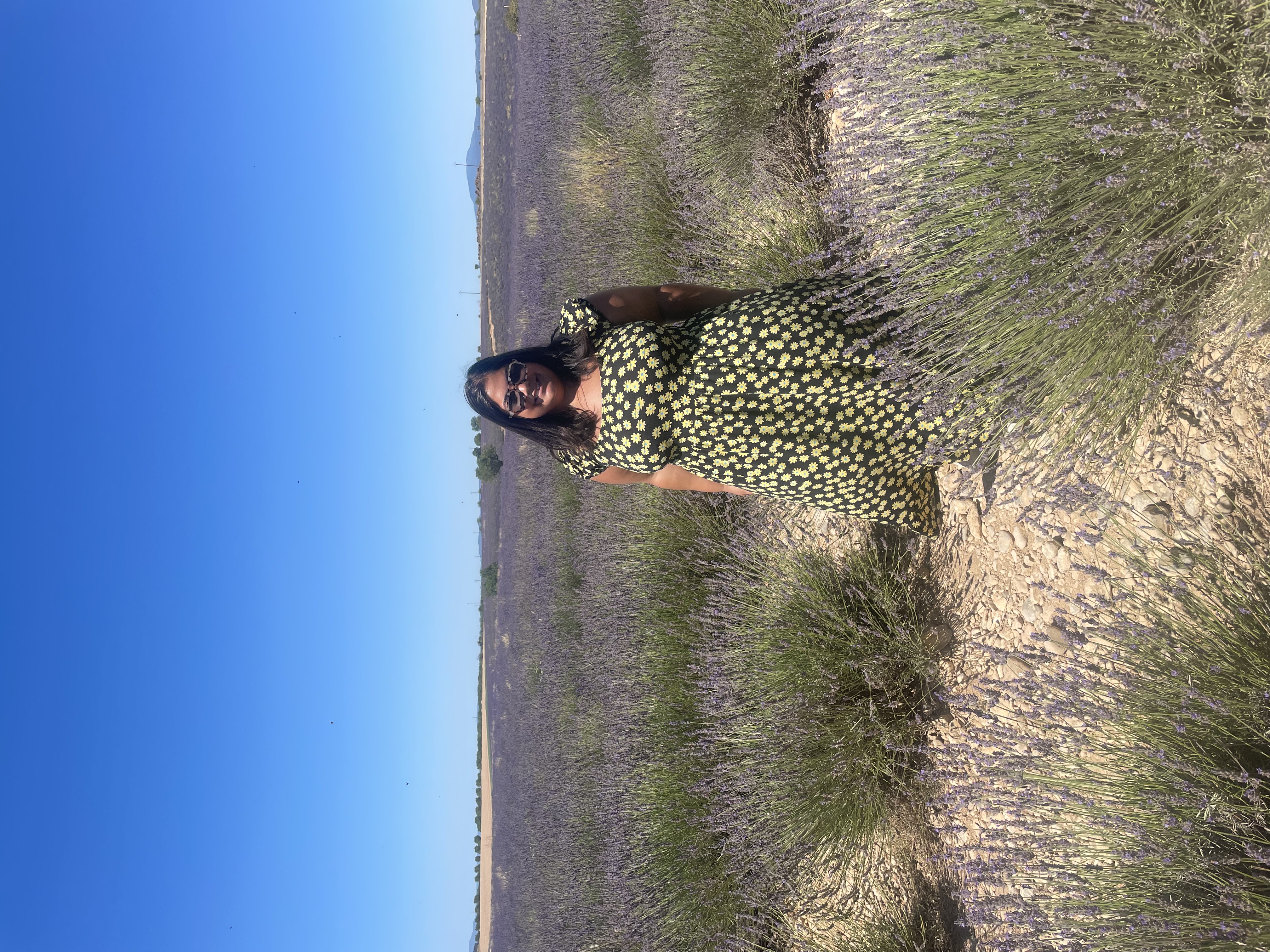 Advisor - Laura Bacharach