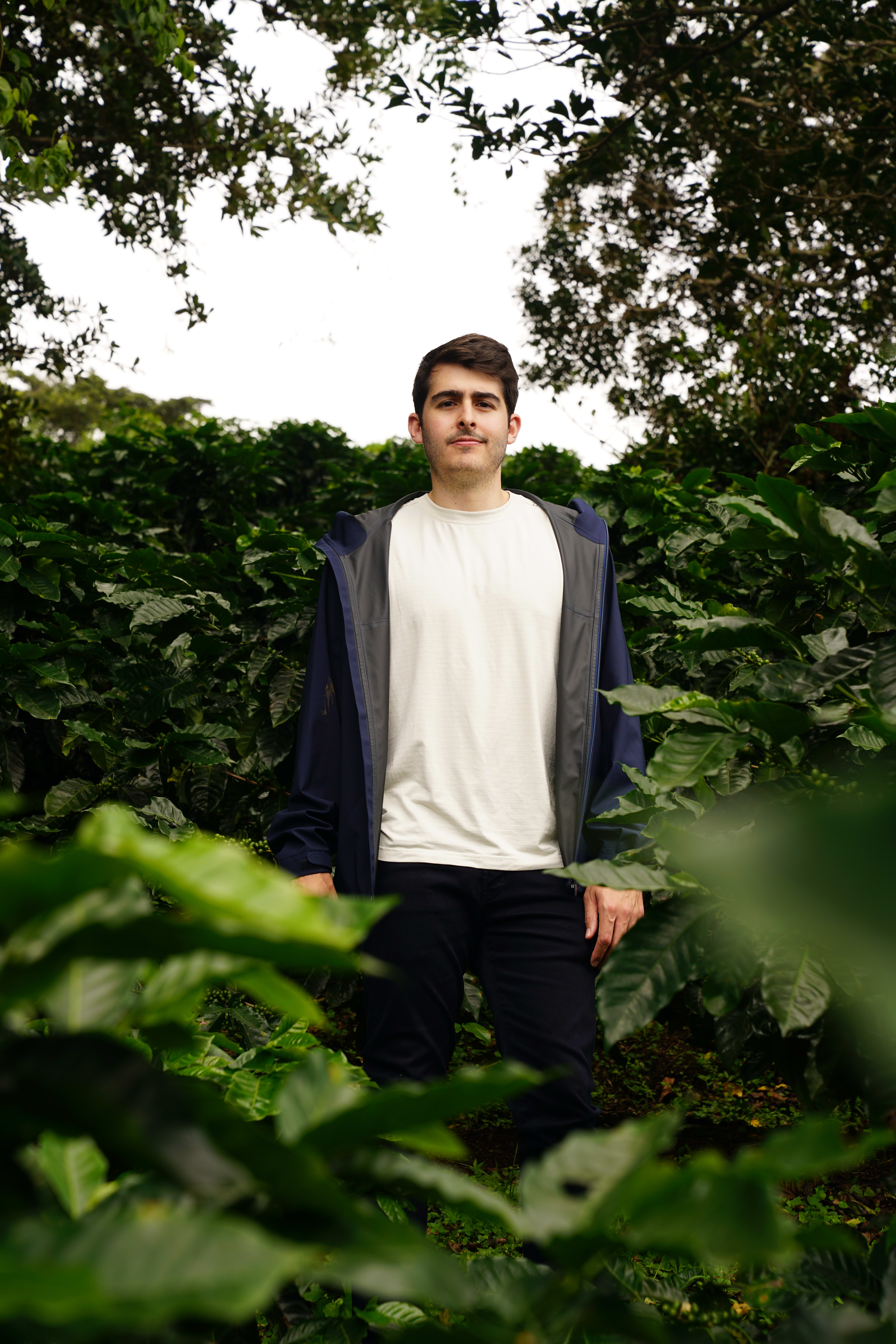 Fora Author - Alvaro Heilbron