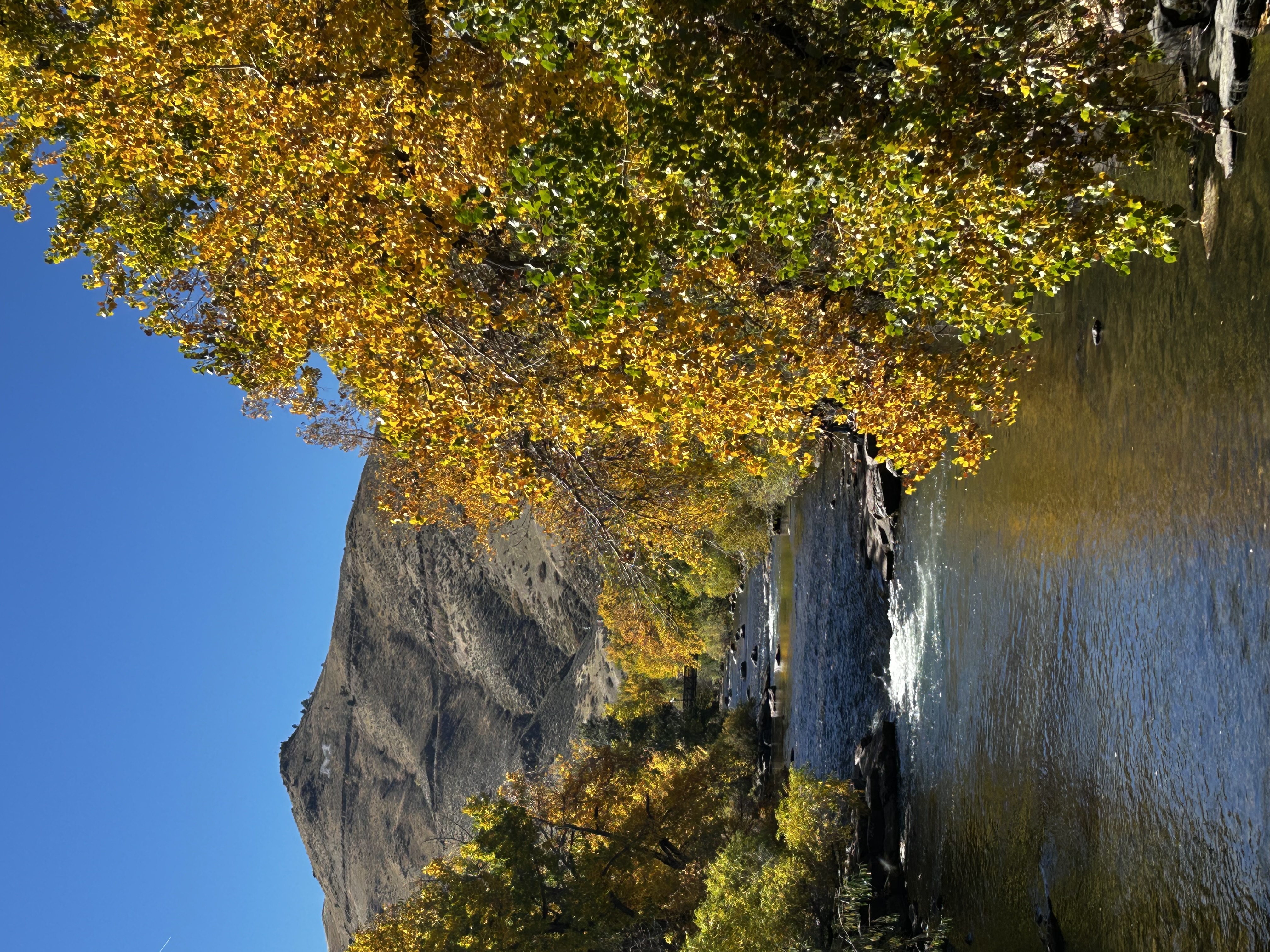 Colorado Fall Foliage Trip