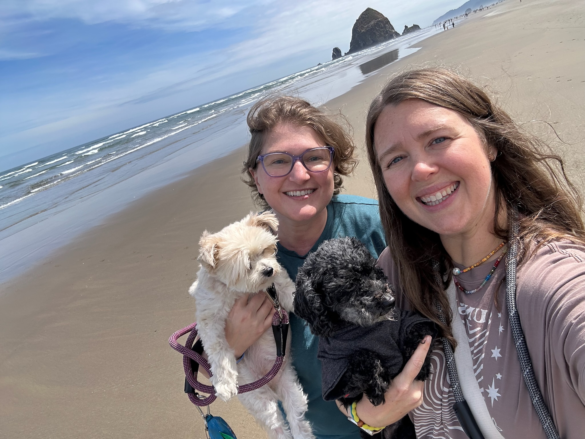 Advisor - Erika Allen