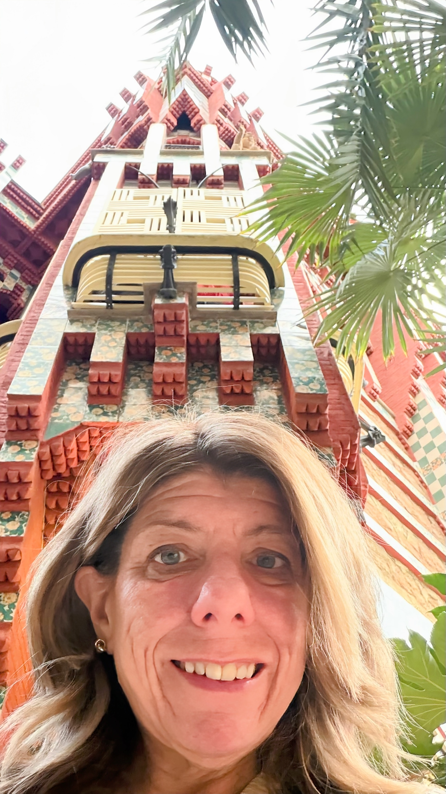Fora Author - Mindi Portnoy