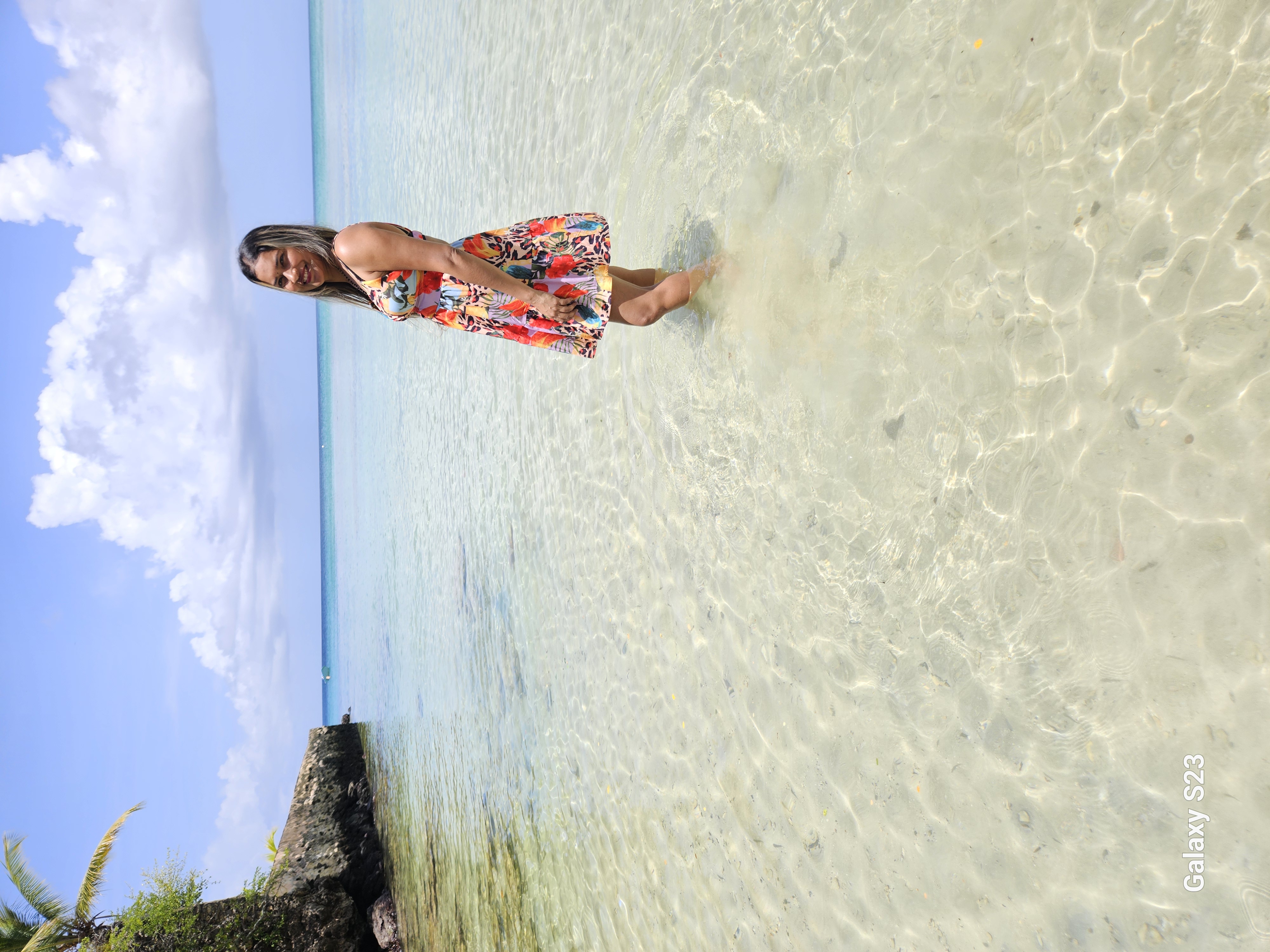 Advisor - Narupa Samaroo-Mohan