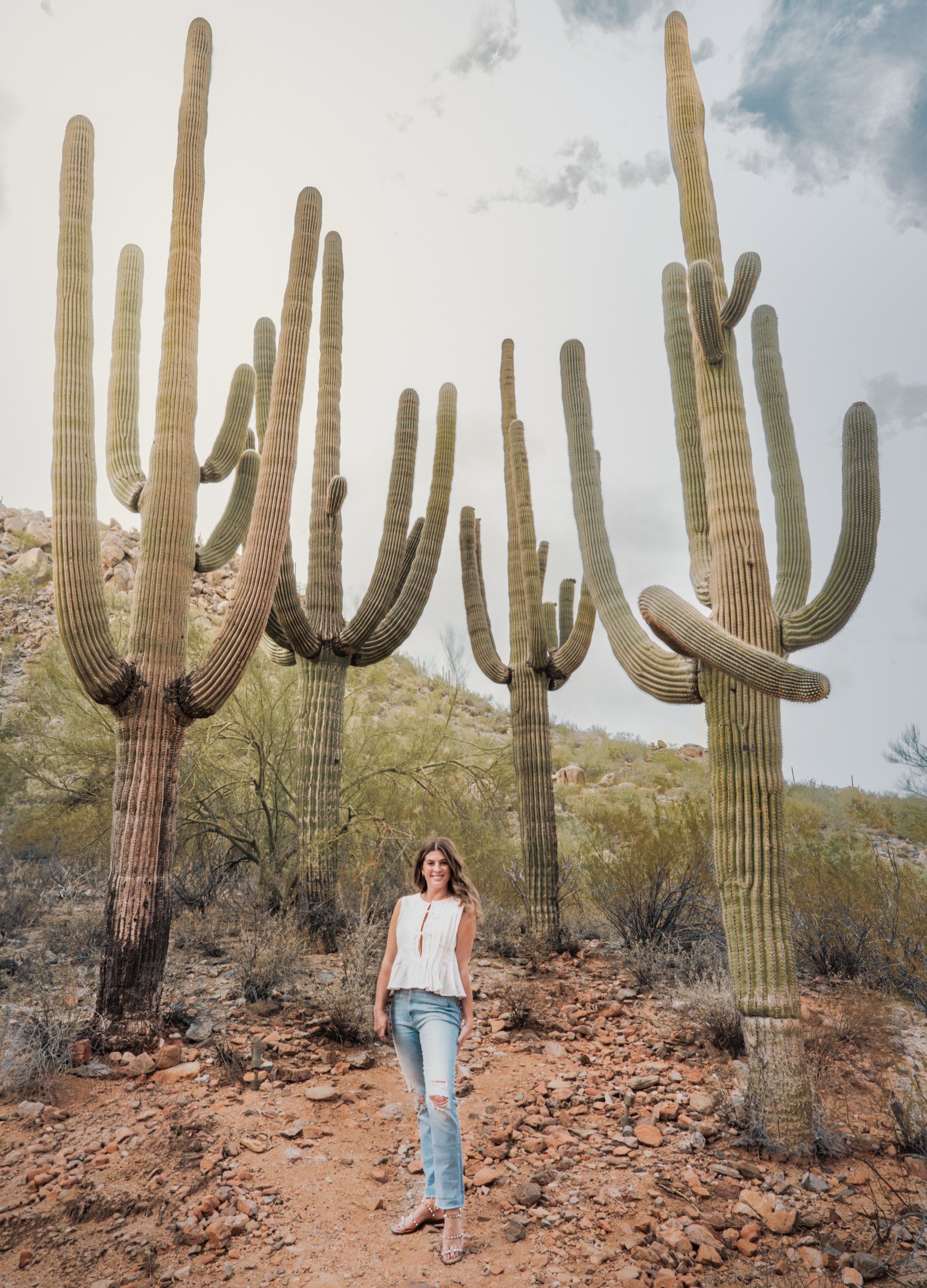 Advisor - Allyssa Newton